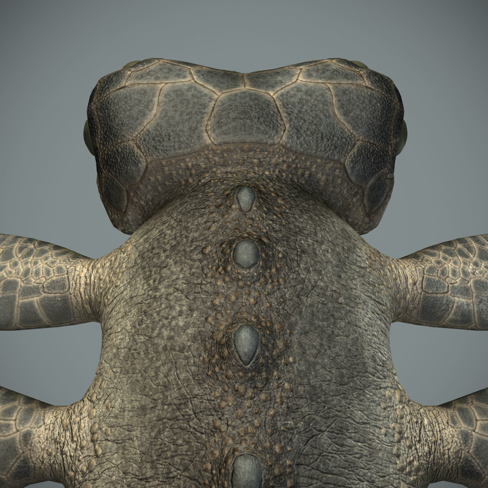 Sea monster Low-poly 3D model_30