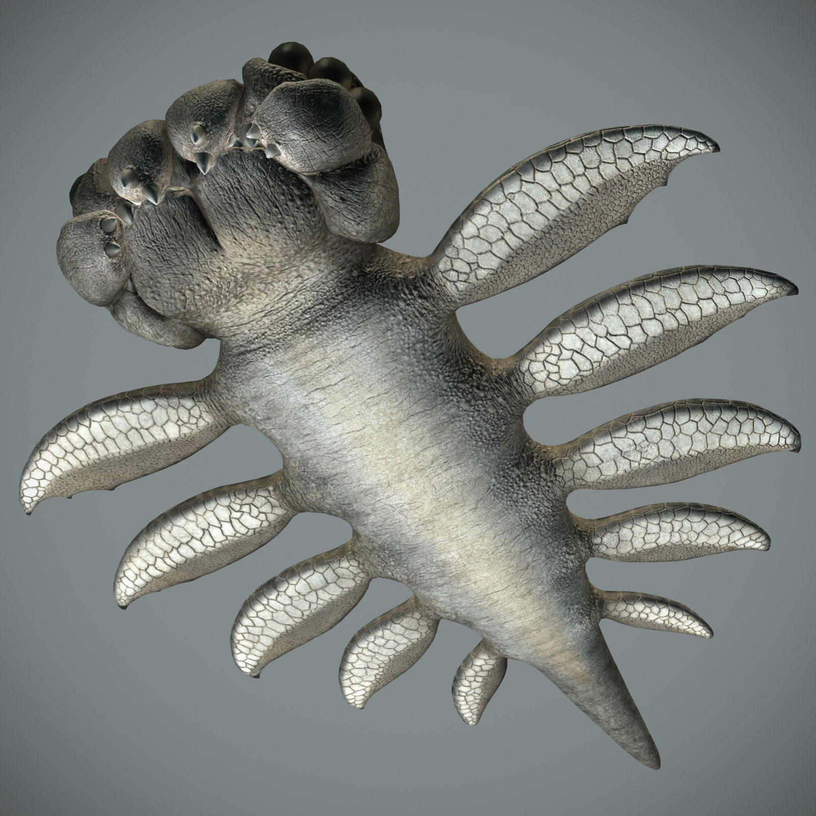 Sea monster Low-poly 3D model_2