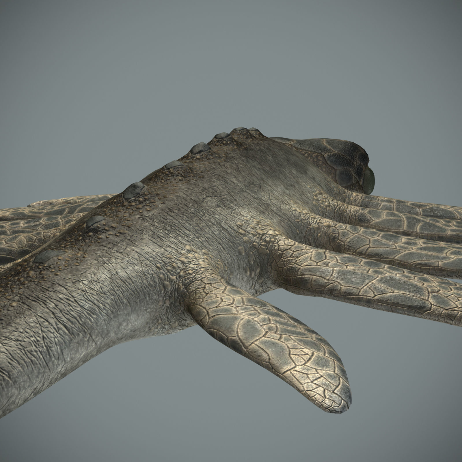 Sea monster Low-poly 3D model_21