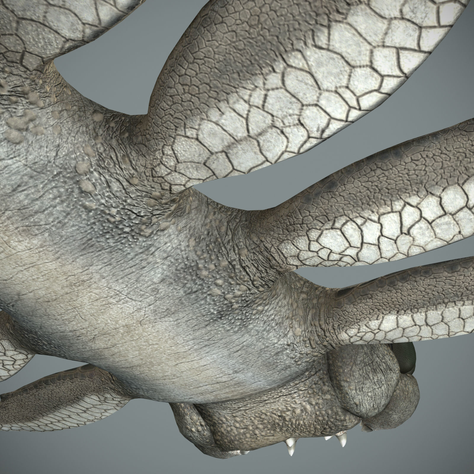 Sea monster Low-poly 3D model_13