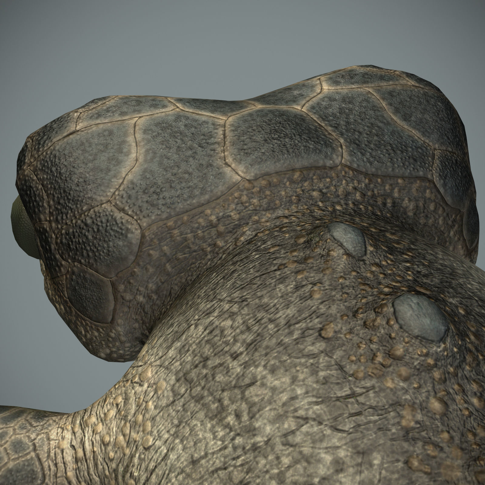Sea monster Low-poly 3D model_26