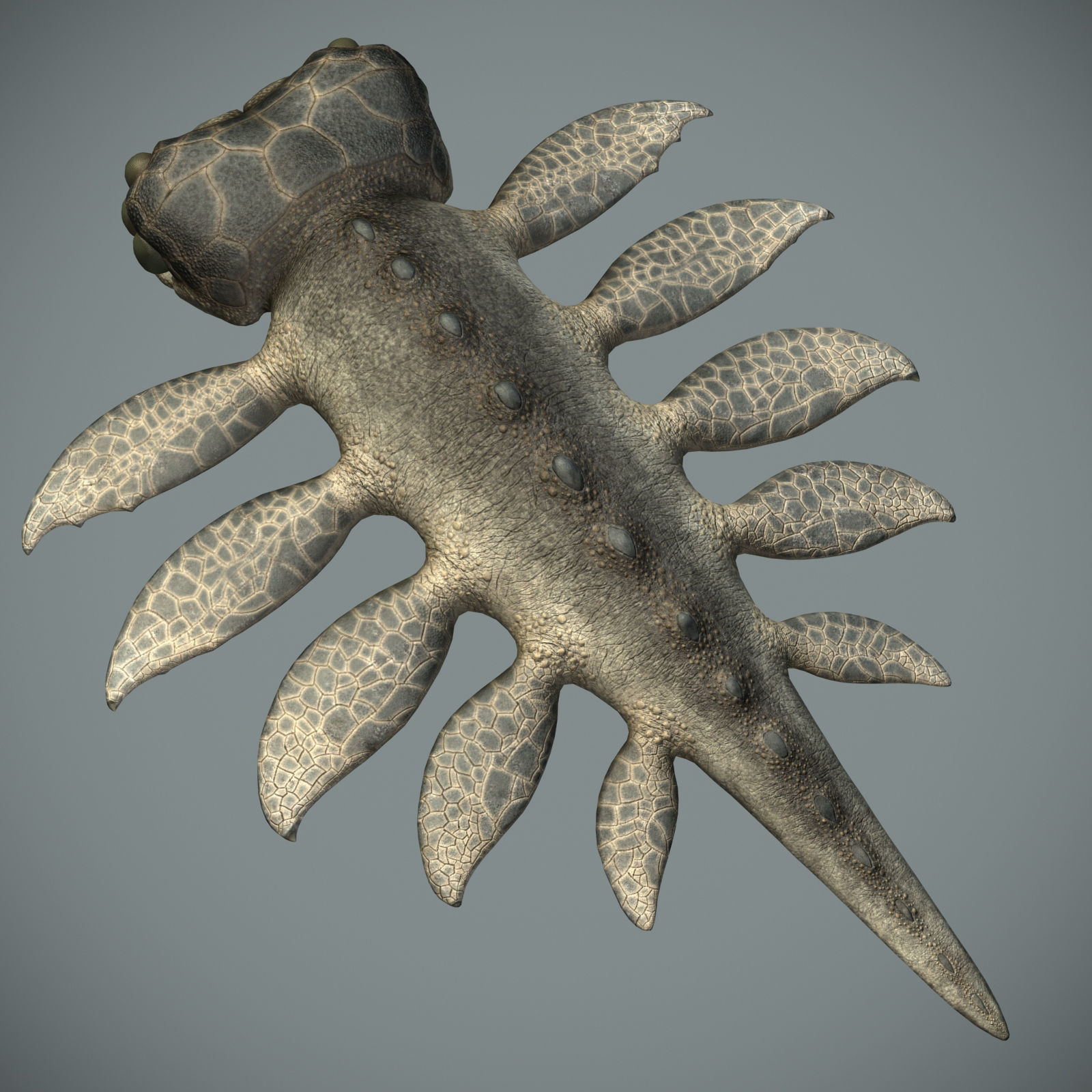 Sea monster Low-poly 3D model_3