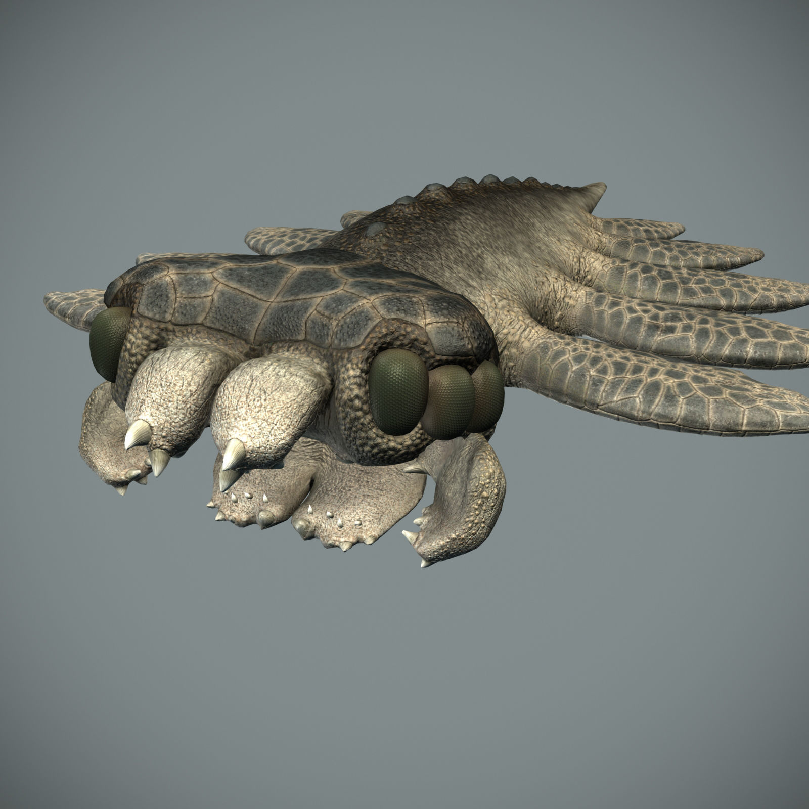 Sea monster Low-poly 3D model_40