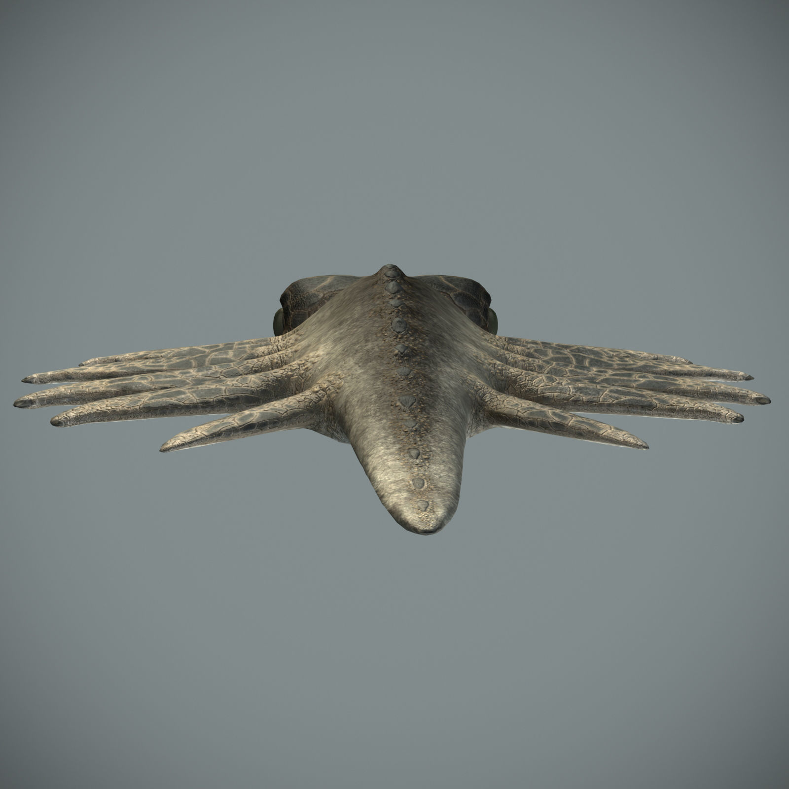 Sea monster Low-poly 3D model_9