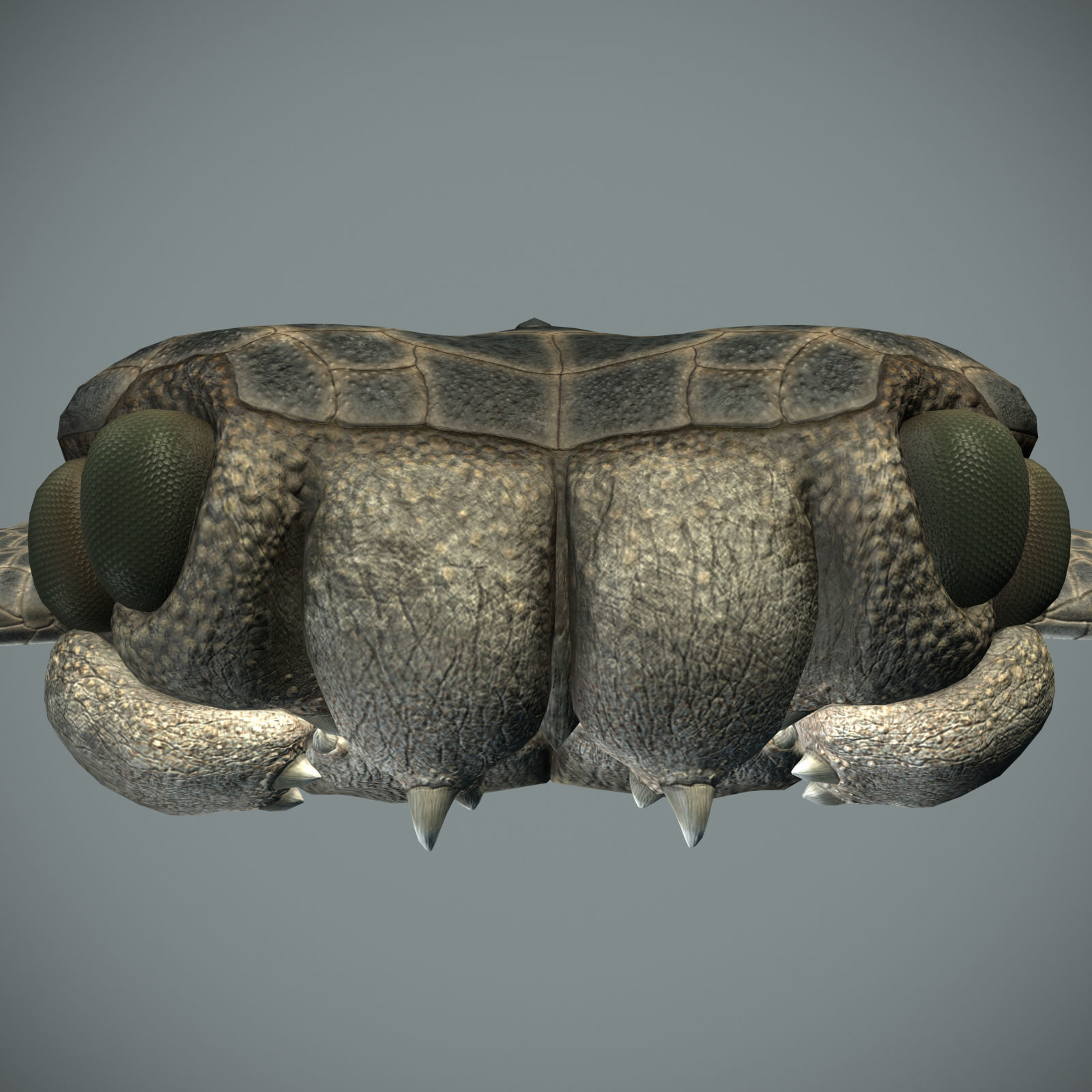 Sea monster Low-poly 3D model_27