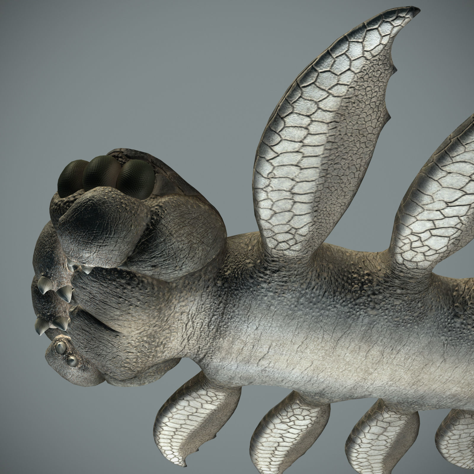 Sea monster Low-poly 3D model_29