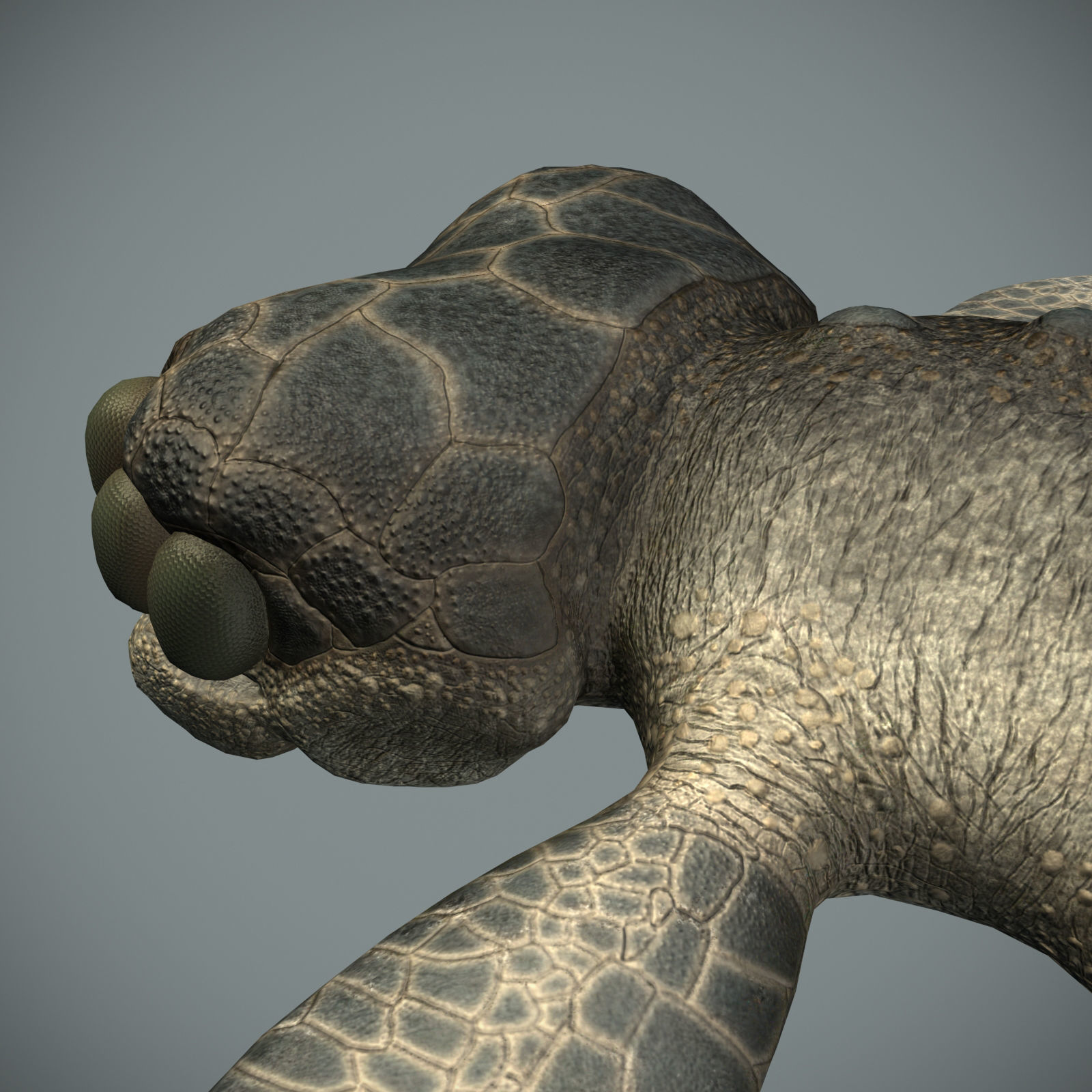 Sea monster Low-poly 3D model_10