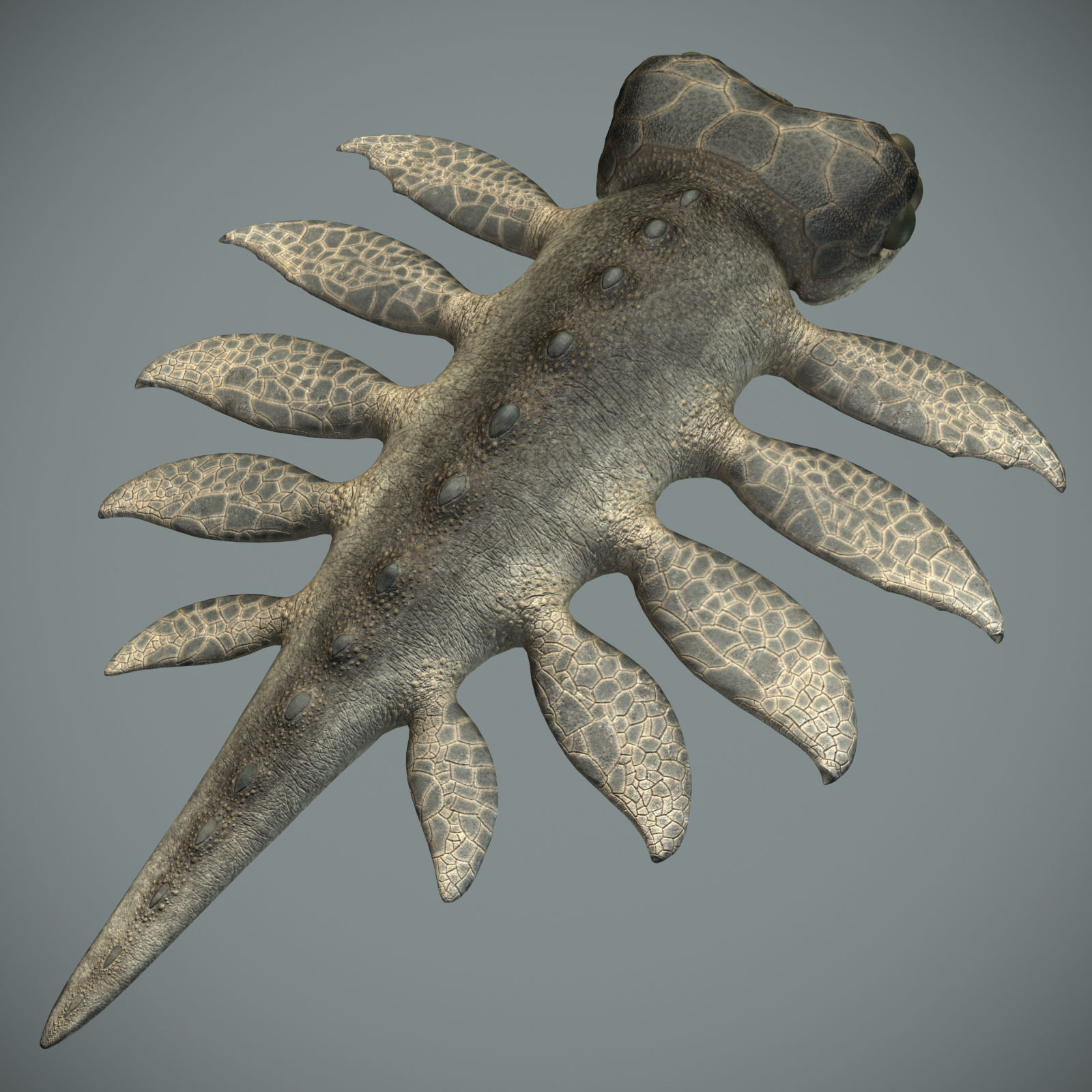 Sea monster Low-poly 3D model_6