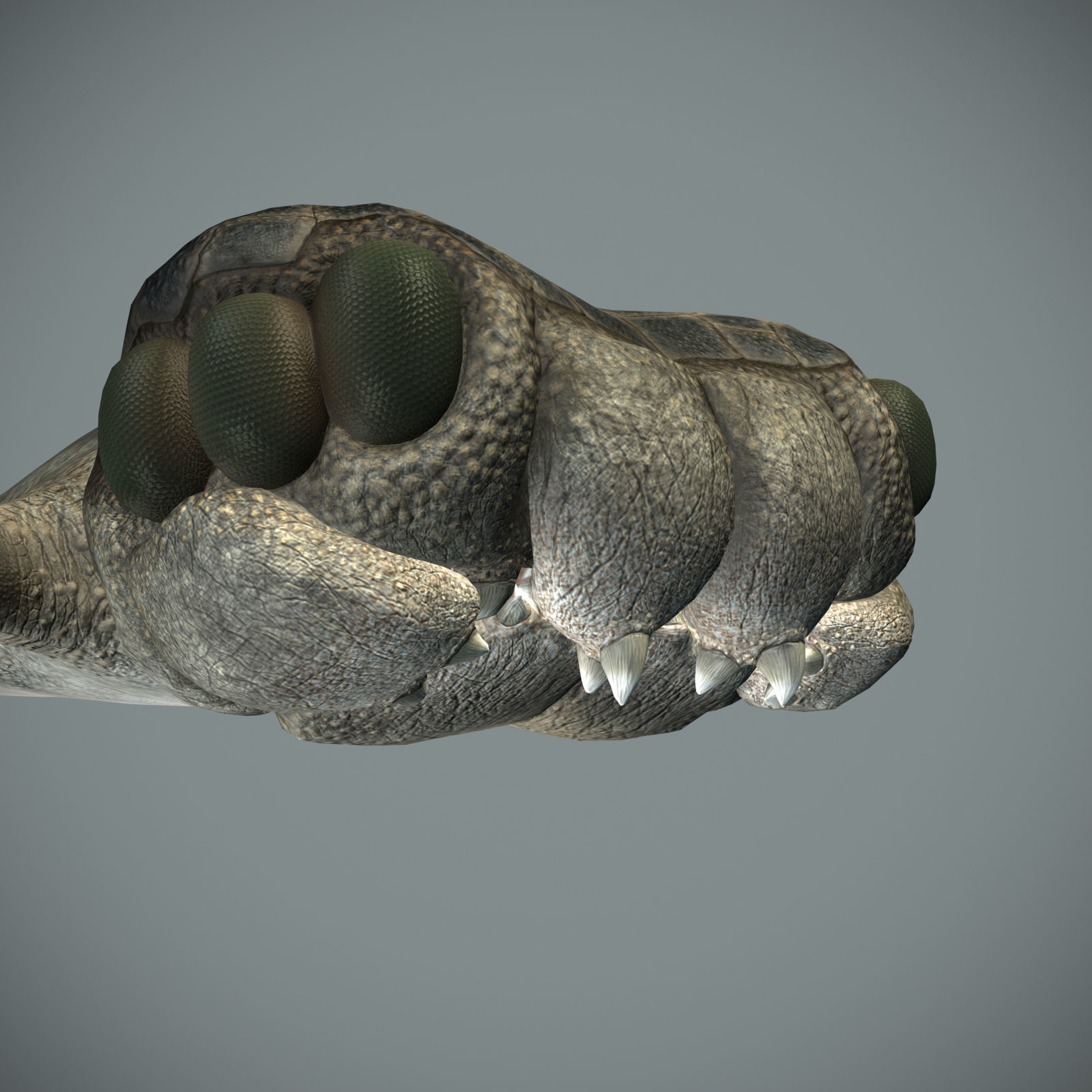 Sea monster Low-poly 3D model_8