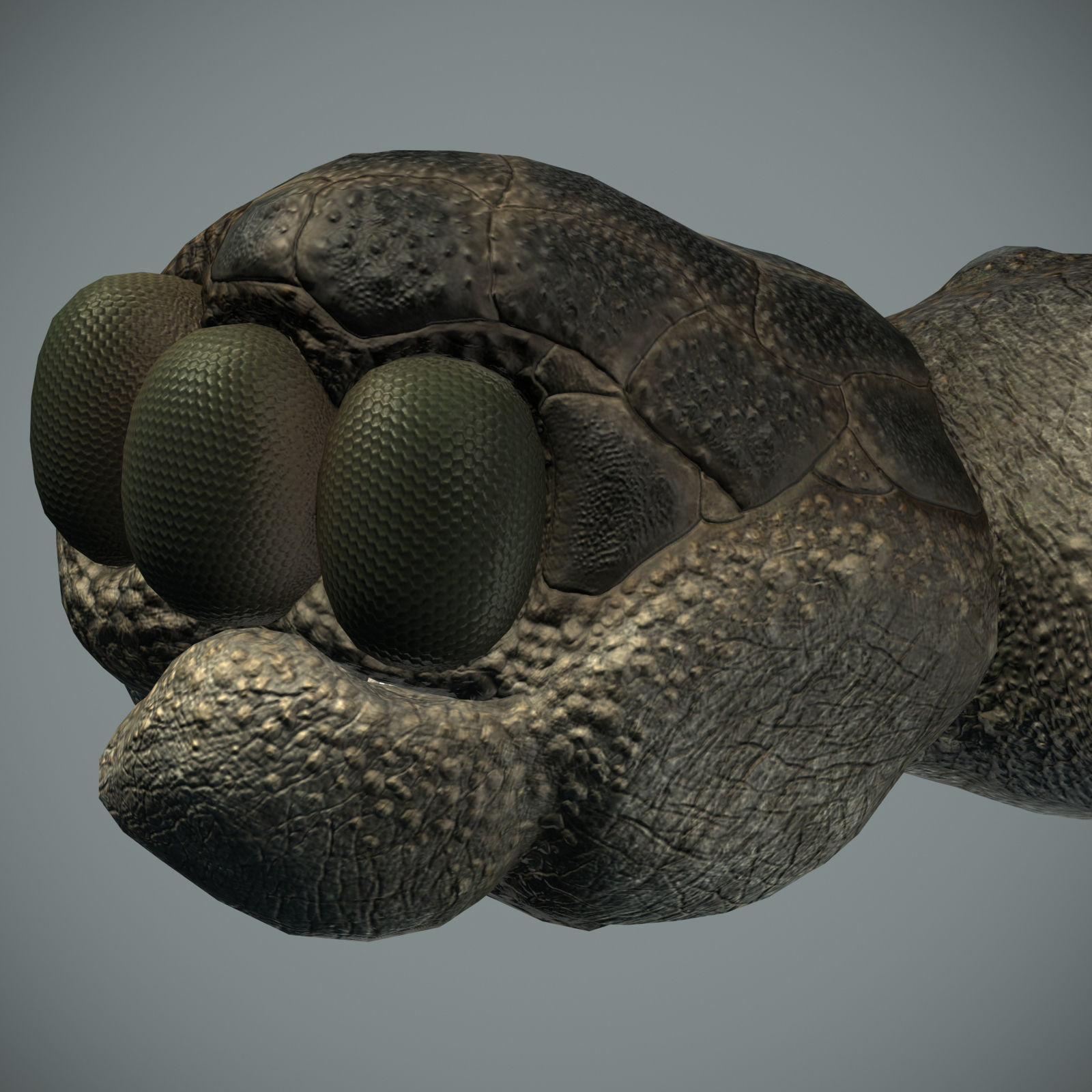 Sea monster Low-poly 3D model_22