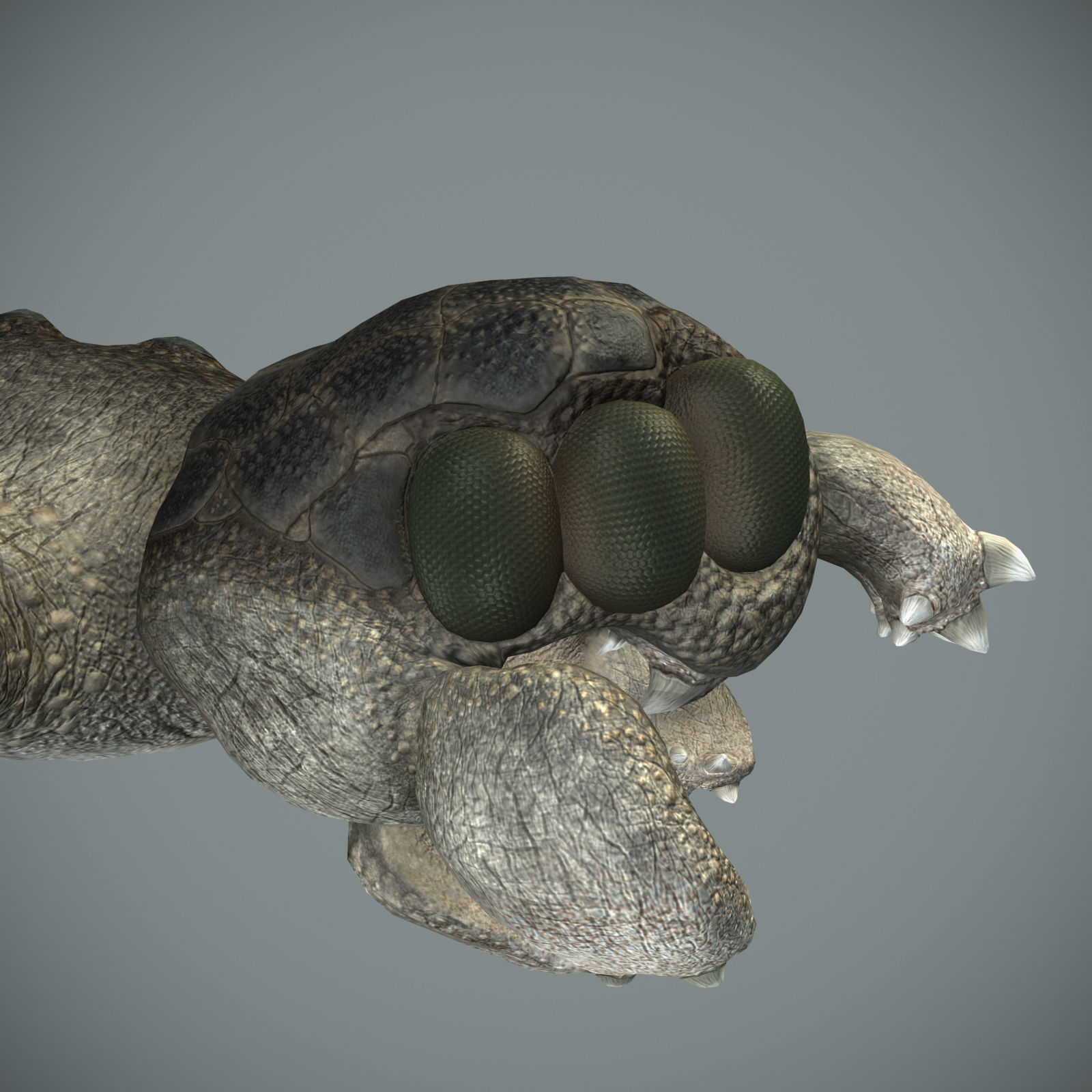 Sea monster Low-poly 3D model_32