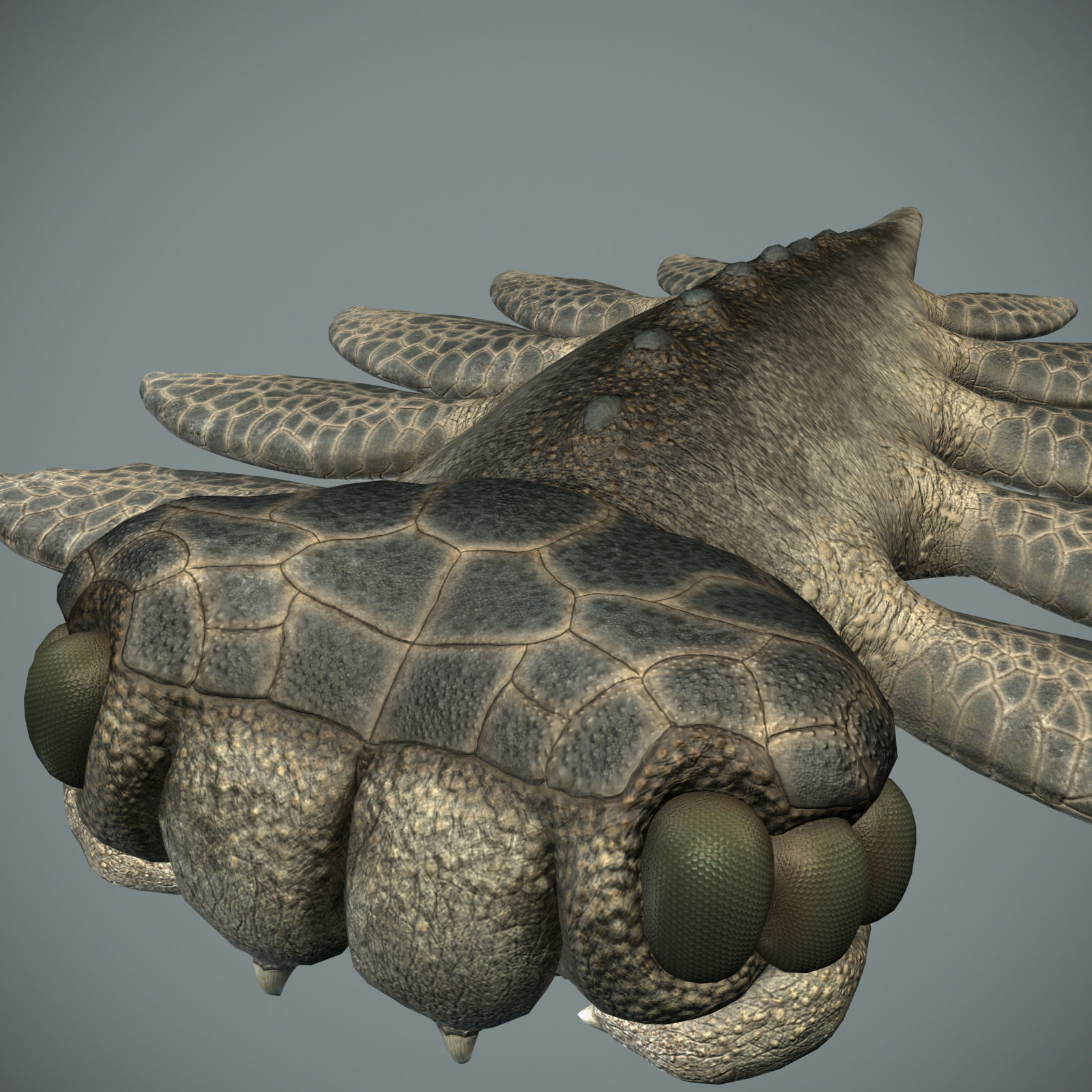 Sea monster Low-poly 3D model_11