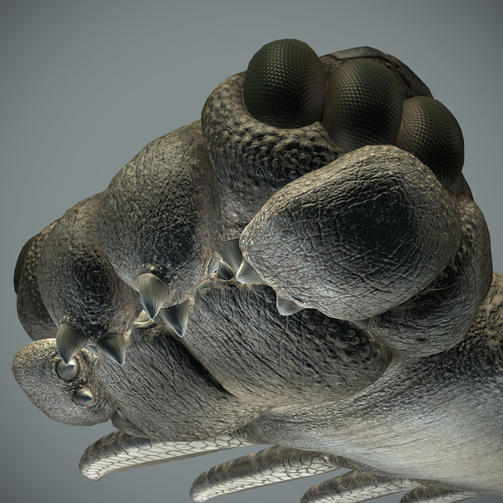 Sea monster Low-poly 3D model_14