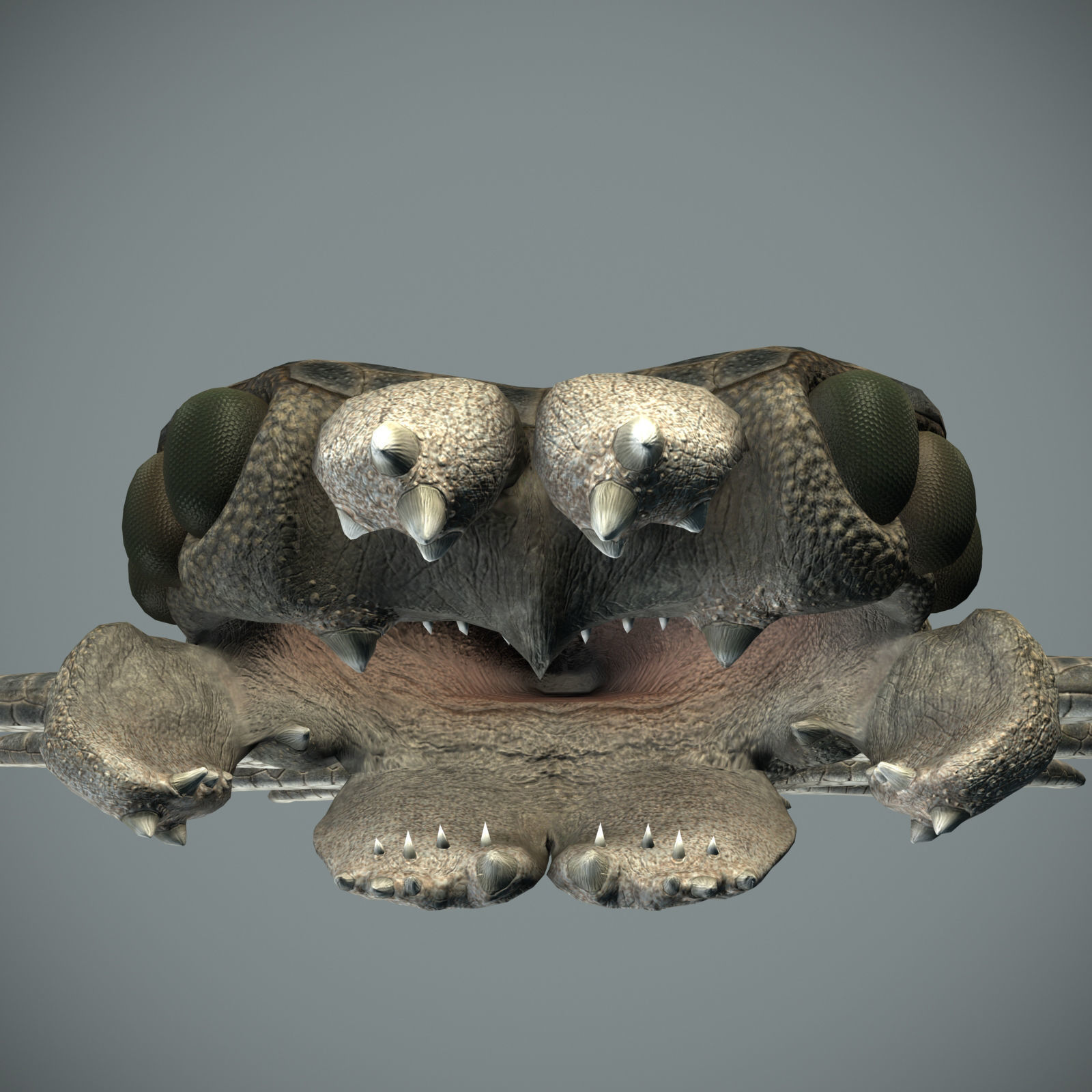 Sea monster Low-poly 3D model_33