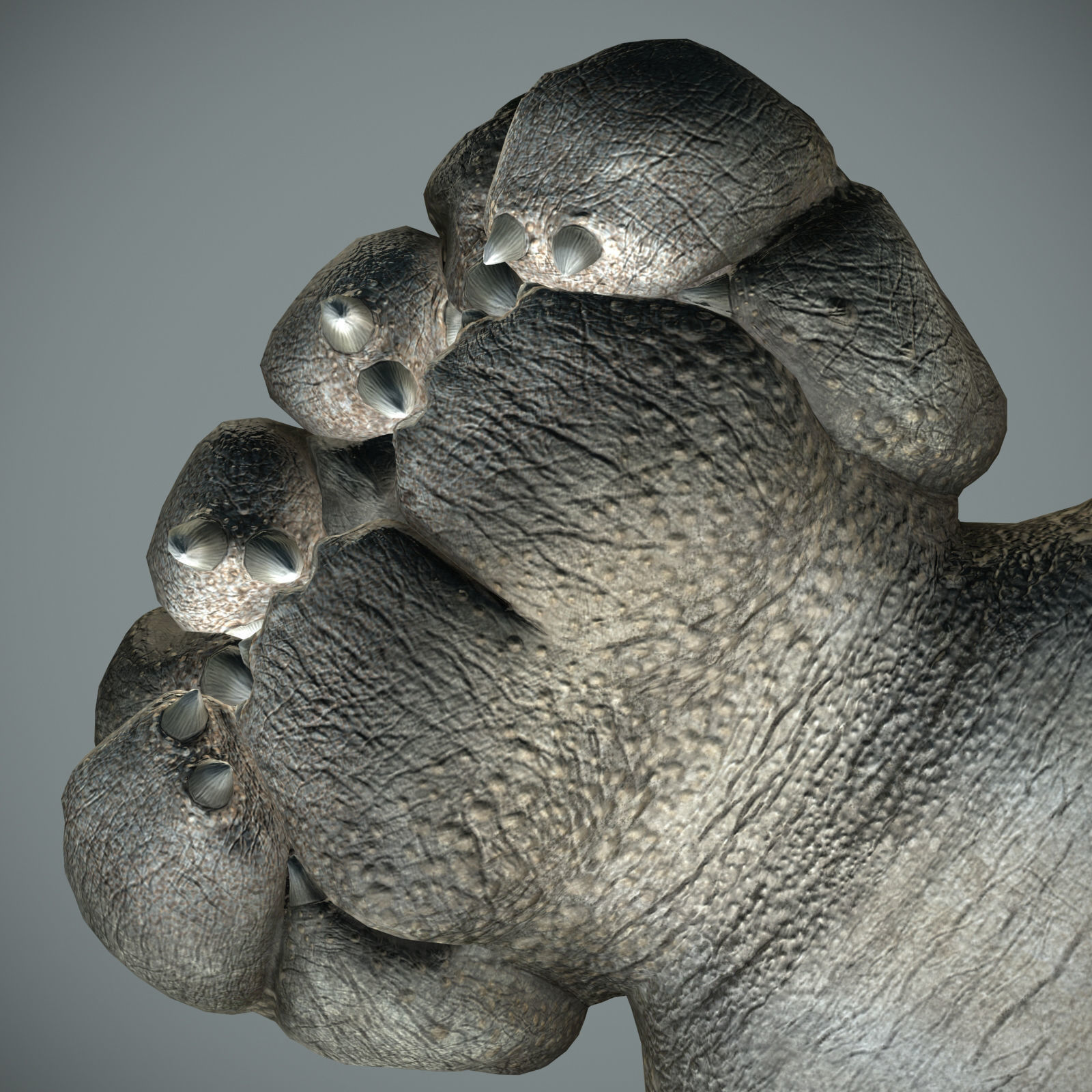 Sea monster Low-poly 3D model_12