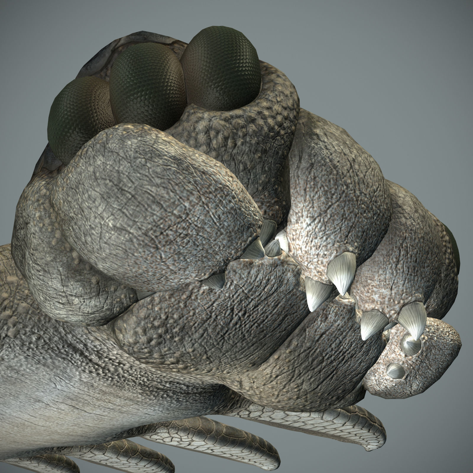 Sea monster Low-poly 3D model_24