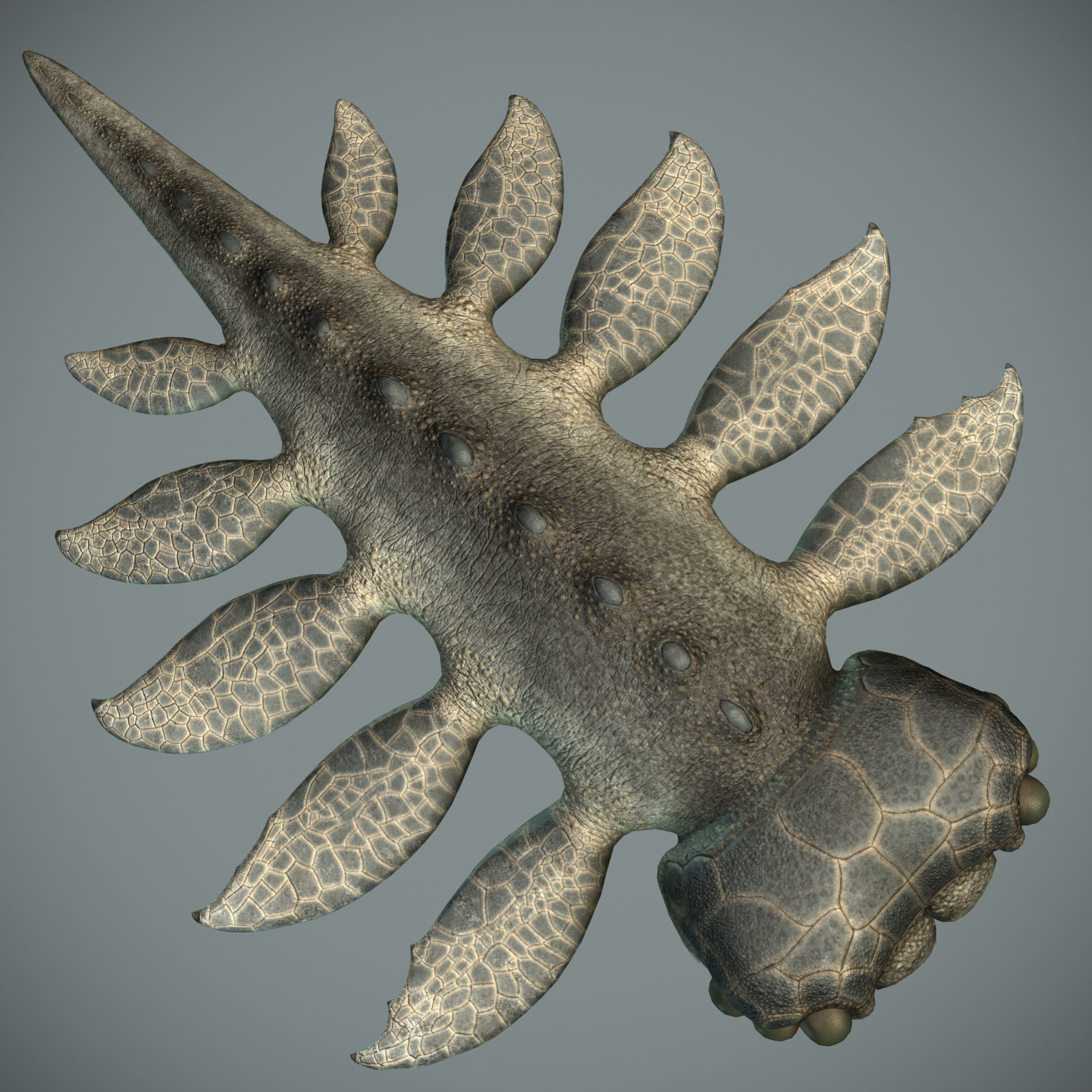 Sea monster Low-poly 3D model_5