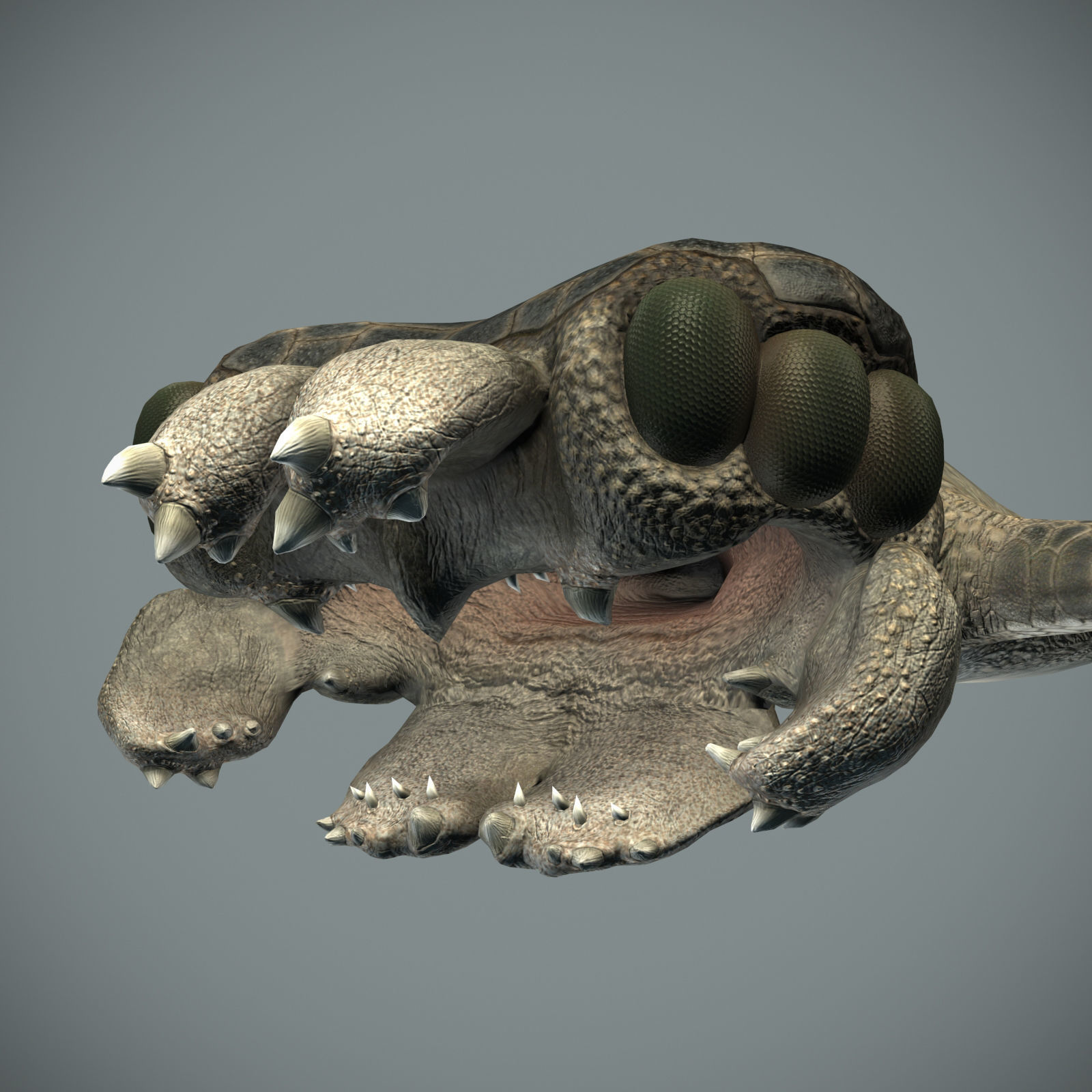 Sea monster Low-poly 3D model_37