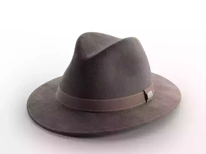 Traveller Maroon Hat 3D model