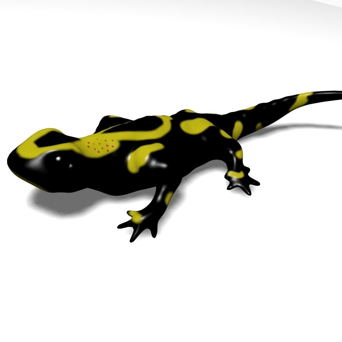 Salamander Model lizard Low-poly 3D model_3