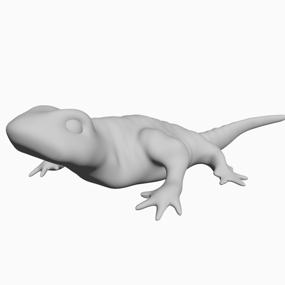 Salamander Model lizard Low-poly 3D model_5