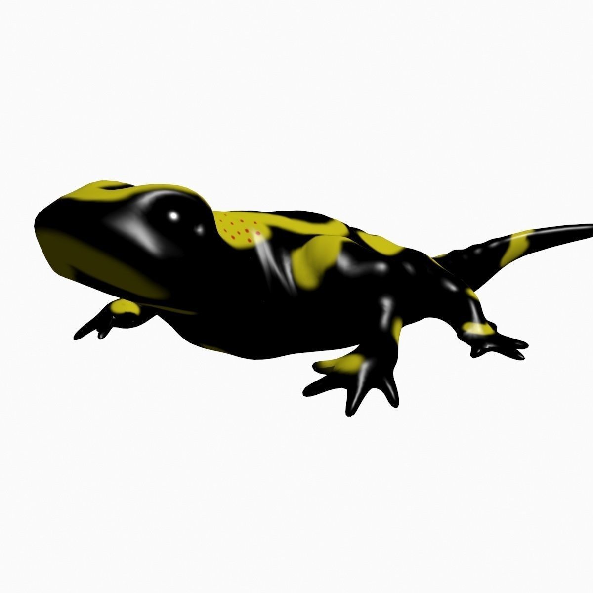 Salamander Model lizard Low-poly 3D model_4