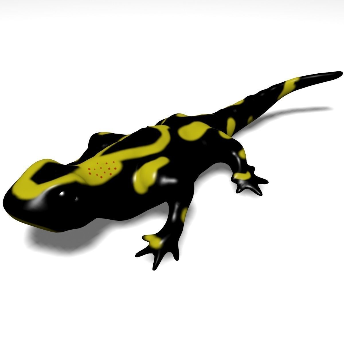 Salamander Model lizard Low-poly 3D model_1