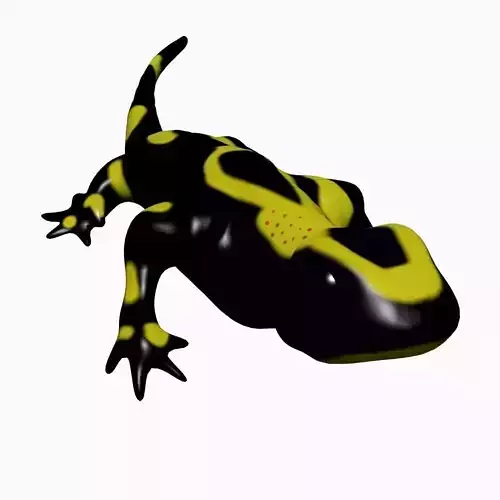 Salamander Model lizard Low-poly 3D model