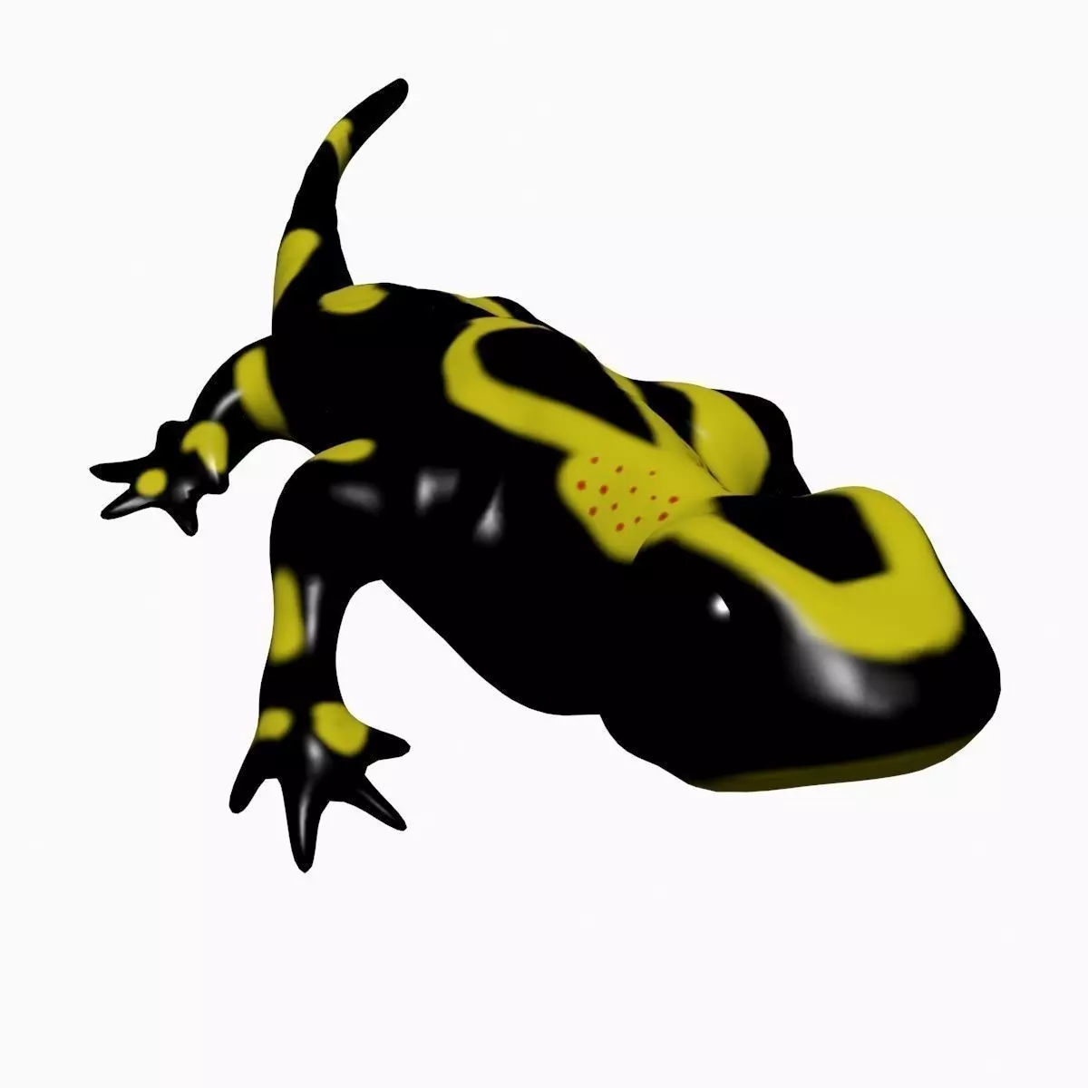 Salamander Model lizard Low-poly 3D model_0