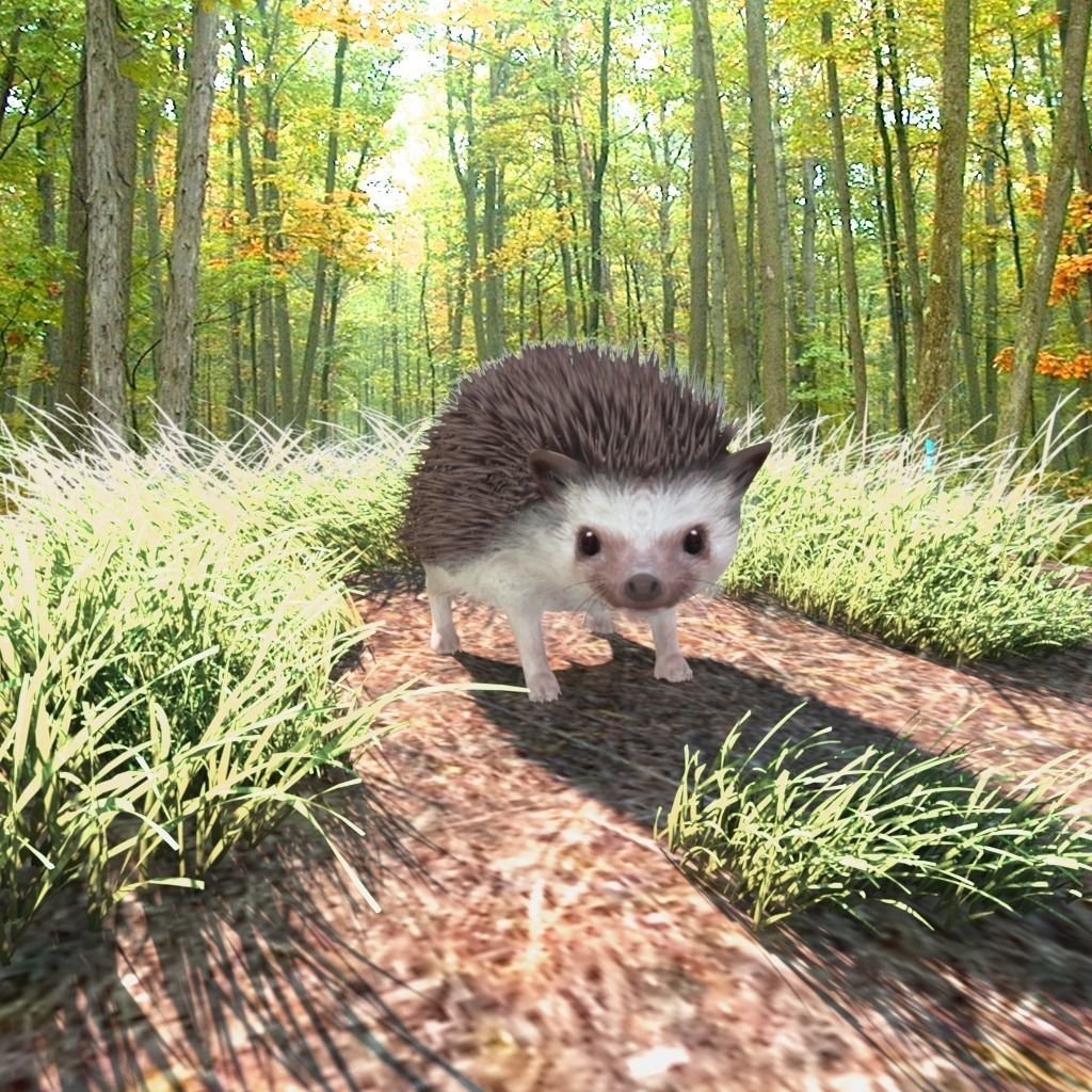 Rigged Hedgehog realistic model Low-poly 3D model_1