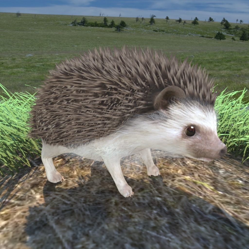 Rigged Hedgehog realistic model Low-poly 3D model_4
