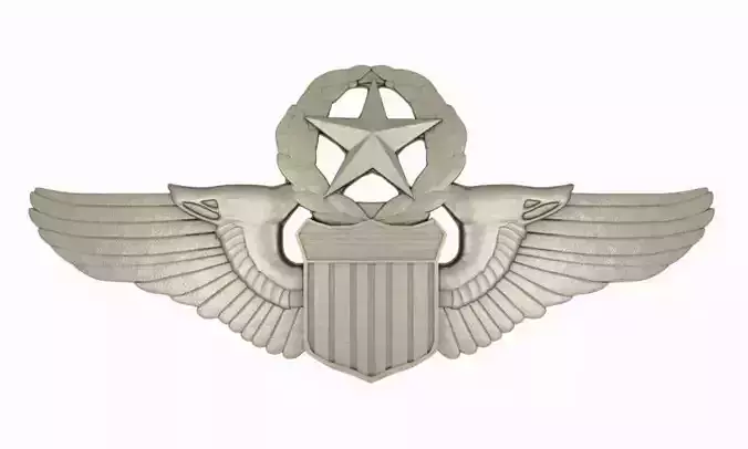 Silver Wings Badge