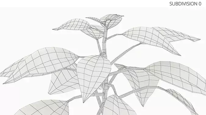 Sprouted Avocado Seed with Full Root System 3D model 7