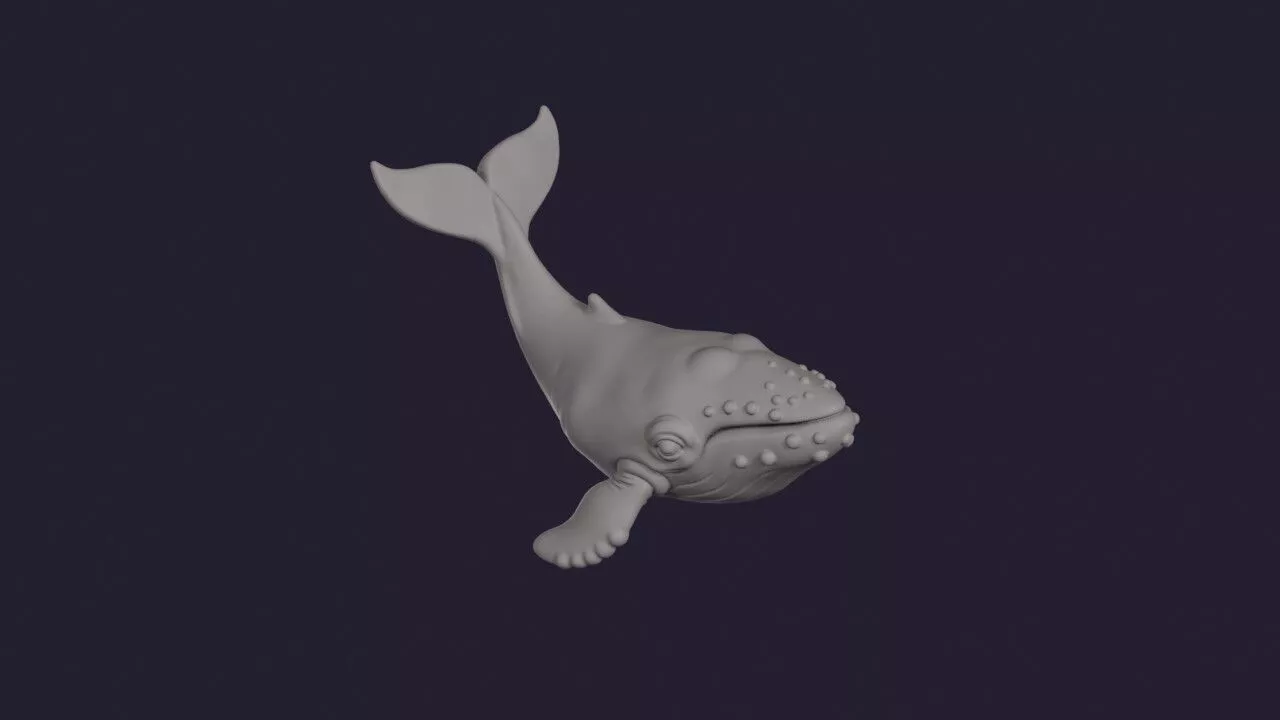 Humpback Whale 3D print model