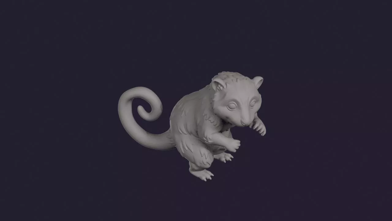 Cuscus 3D print model
