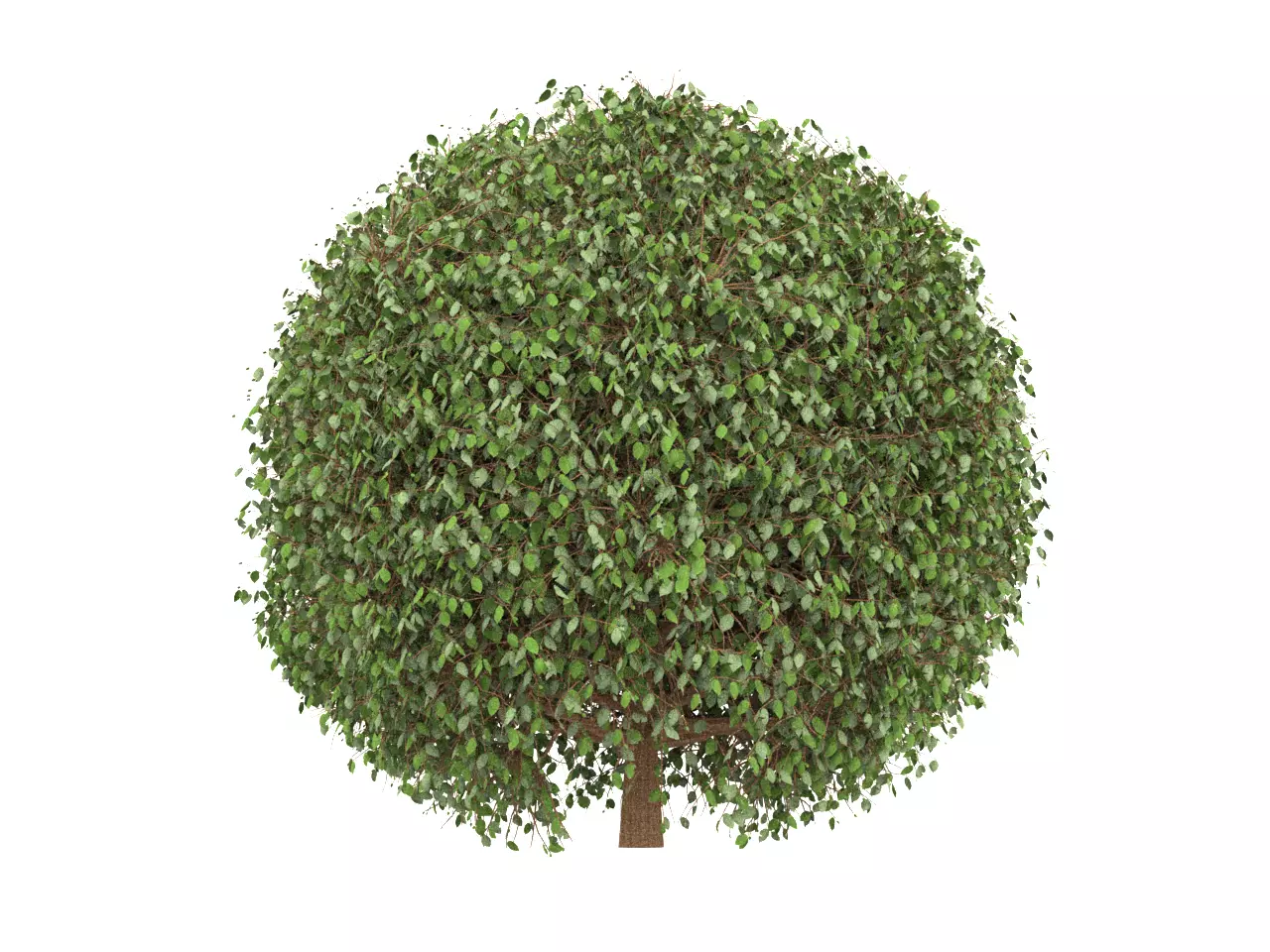 NMA Bush 001-1 Low-poly 3D model