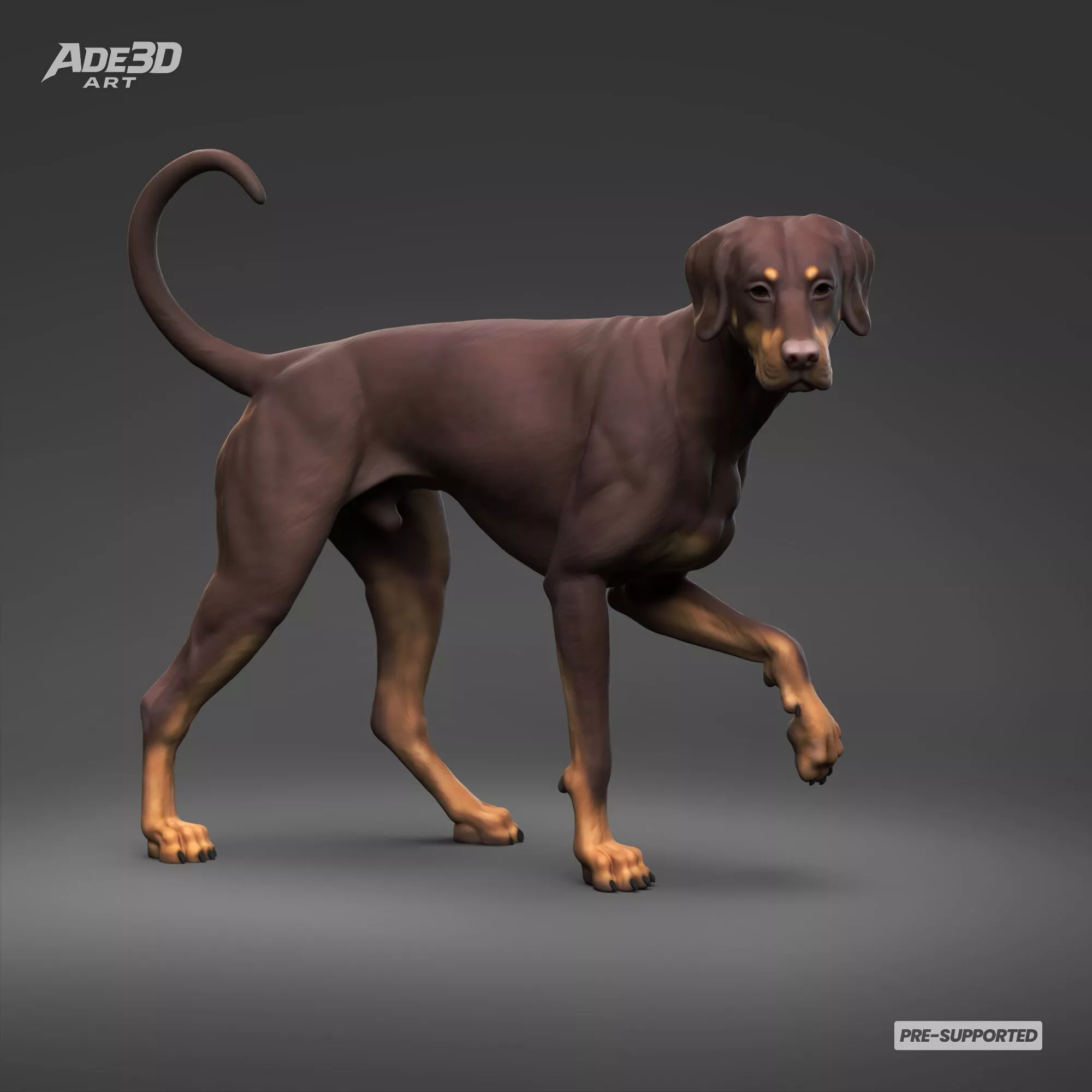 Doberman Pinscher Natural Ears Natural Tail 3D Print Pose 06 3D print model