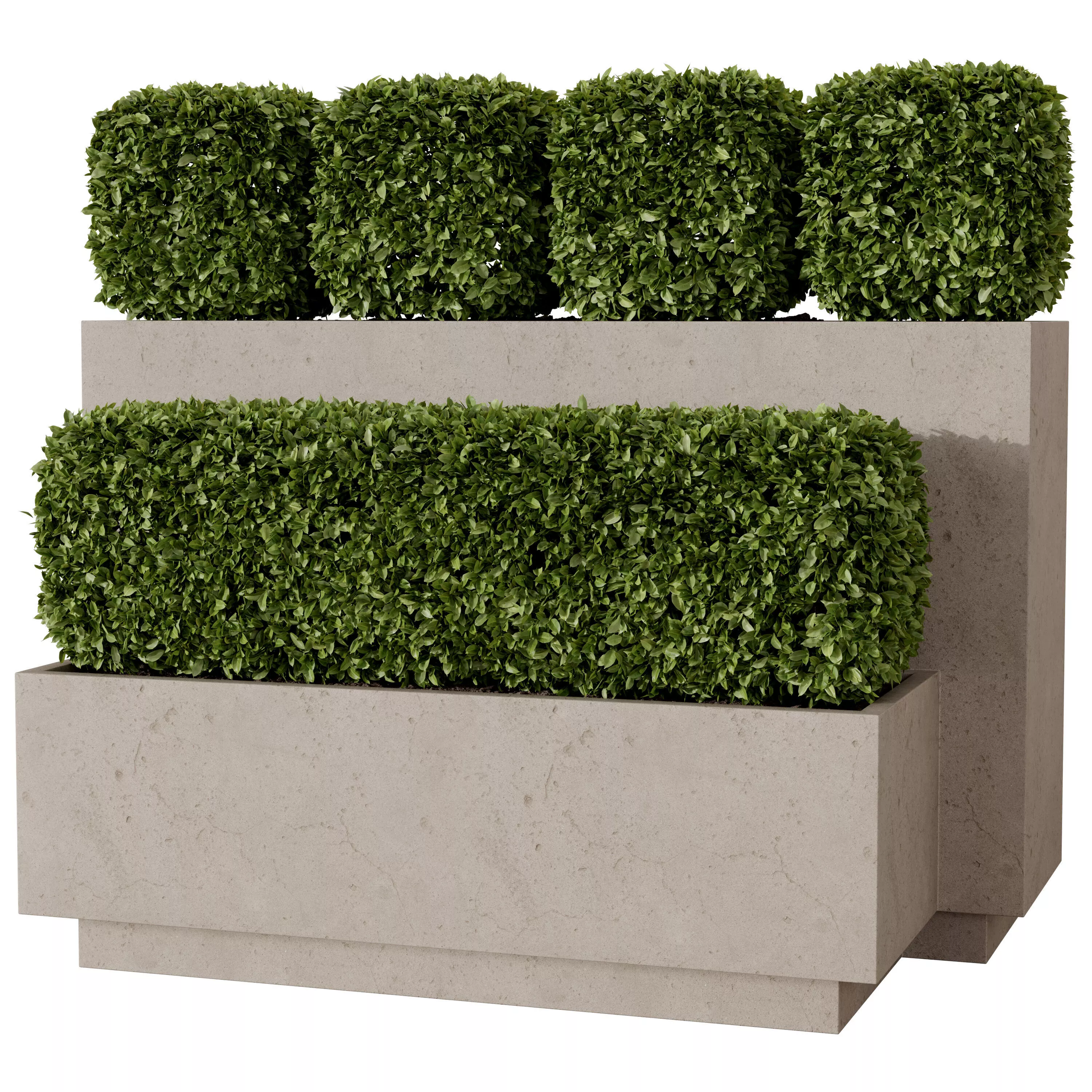 Boxwood in Tiered Planter 3D model
