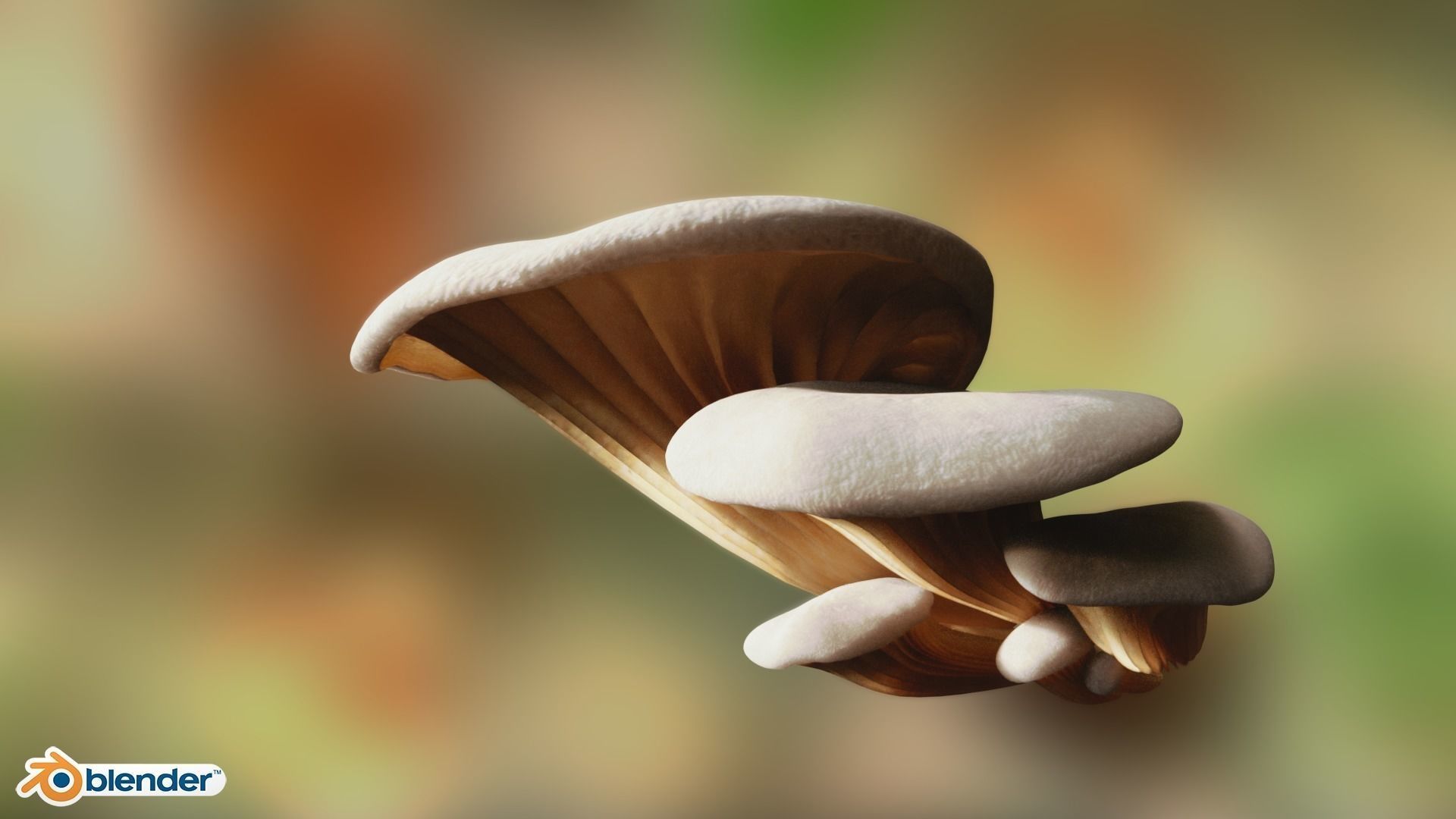 Game ready PBR Mushrooms 3D model SET 1 fungi and their healt... Low-poly 3D model_3
