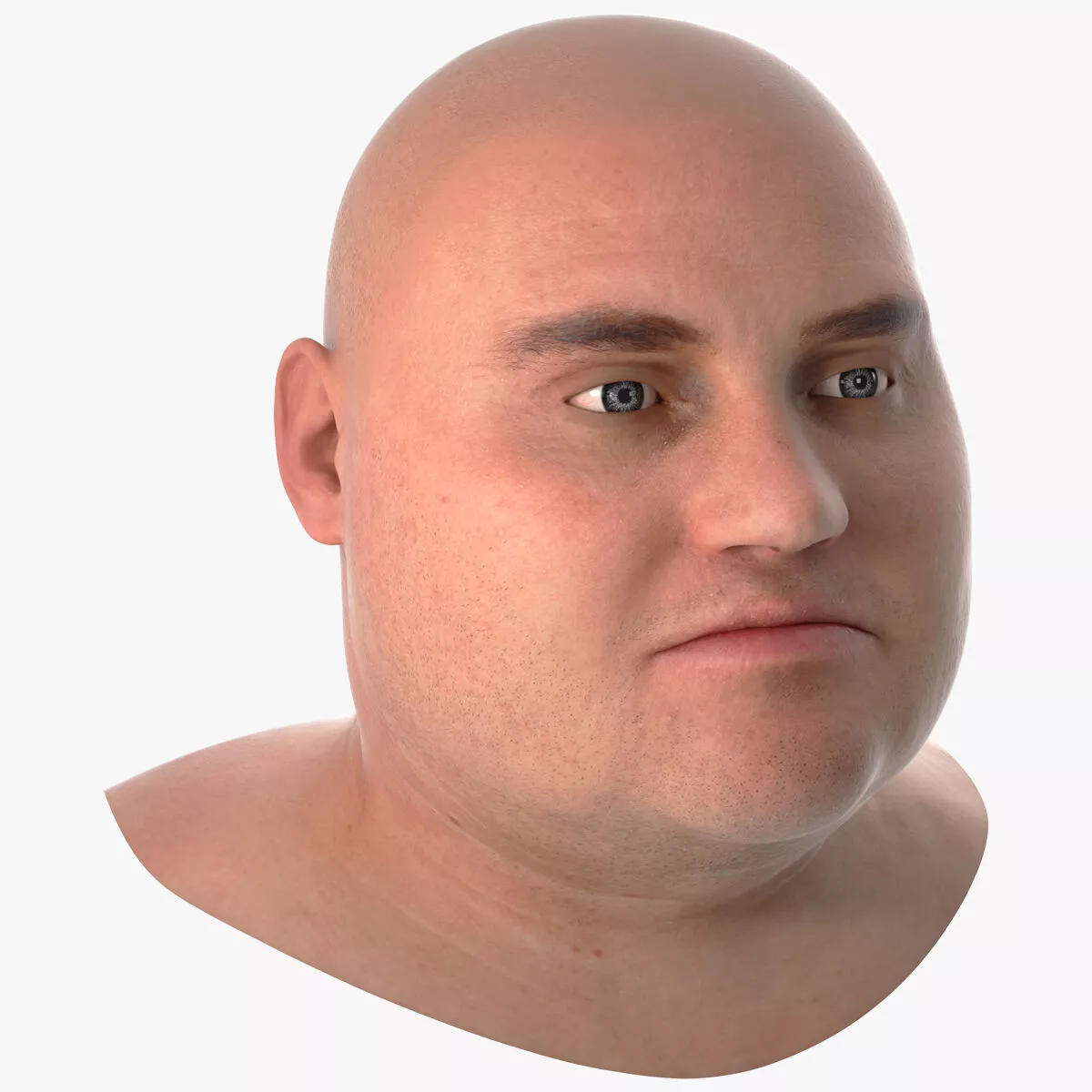 Head Model of Overweight Male 3D model