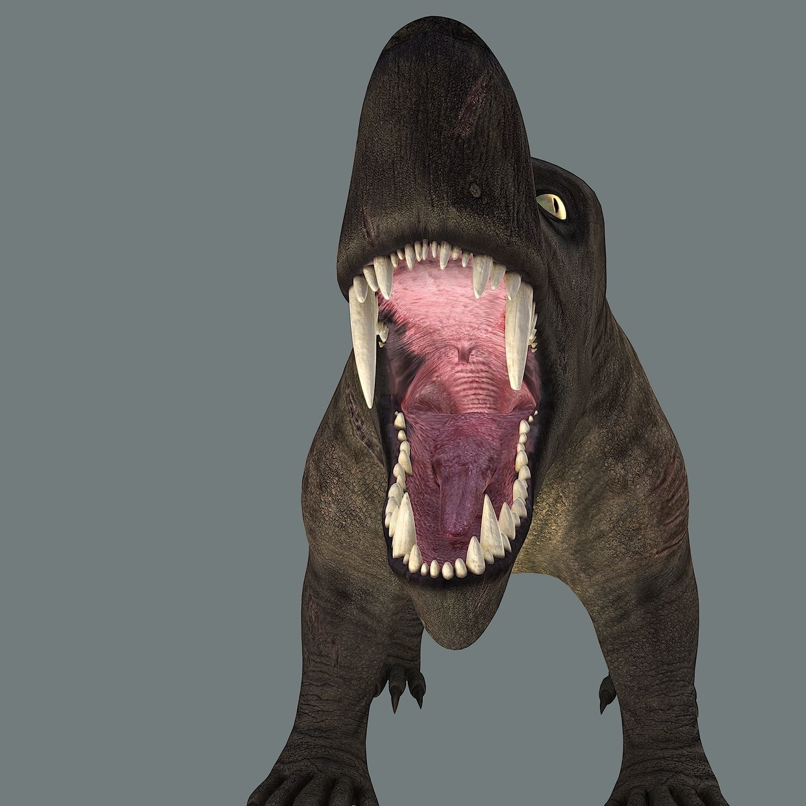 Inostrancevia Low-poly 3D model_31