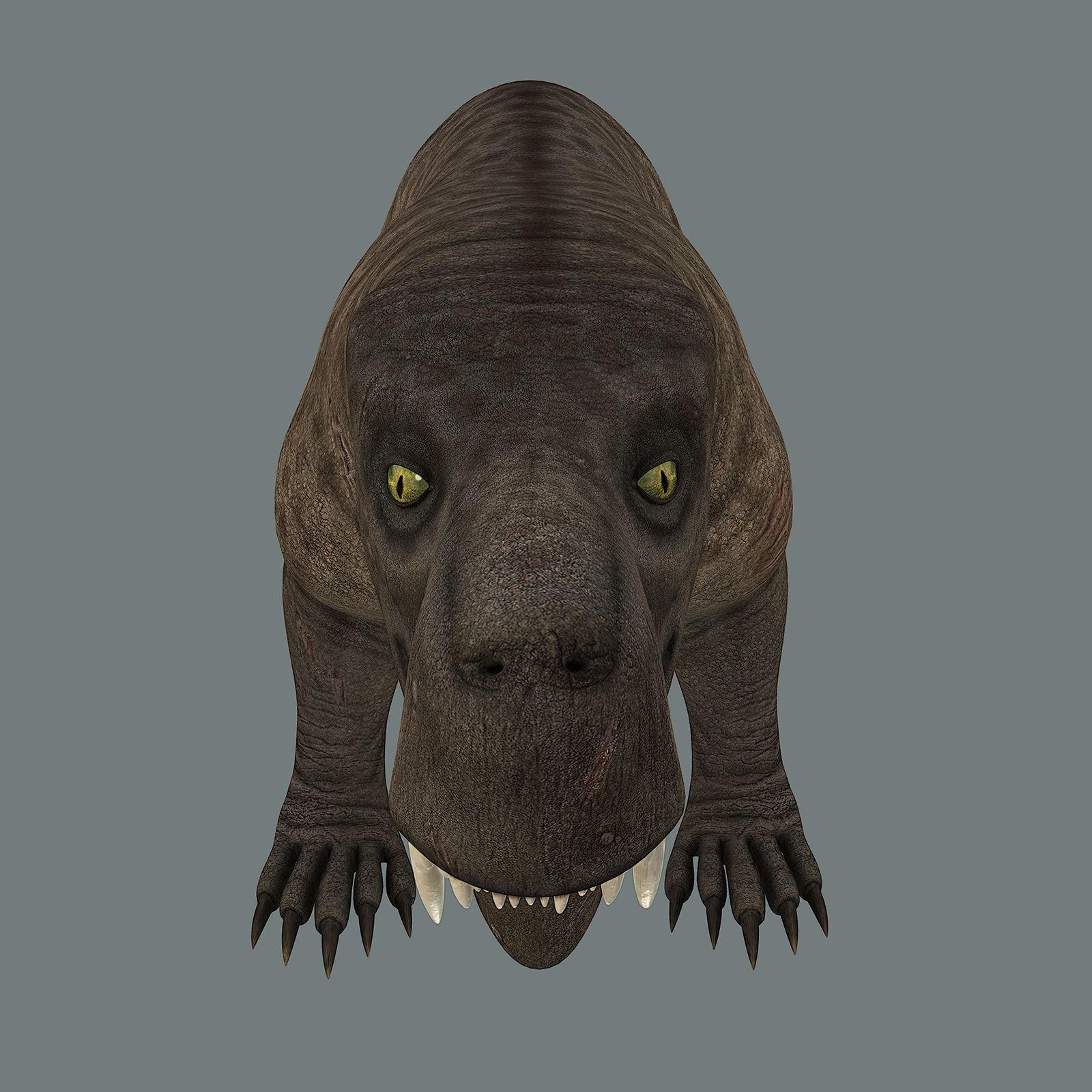 Inostrancevia Low-poly 3D model_29