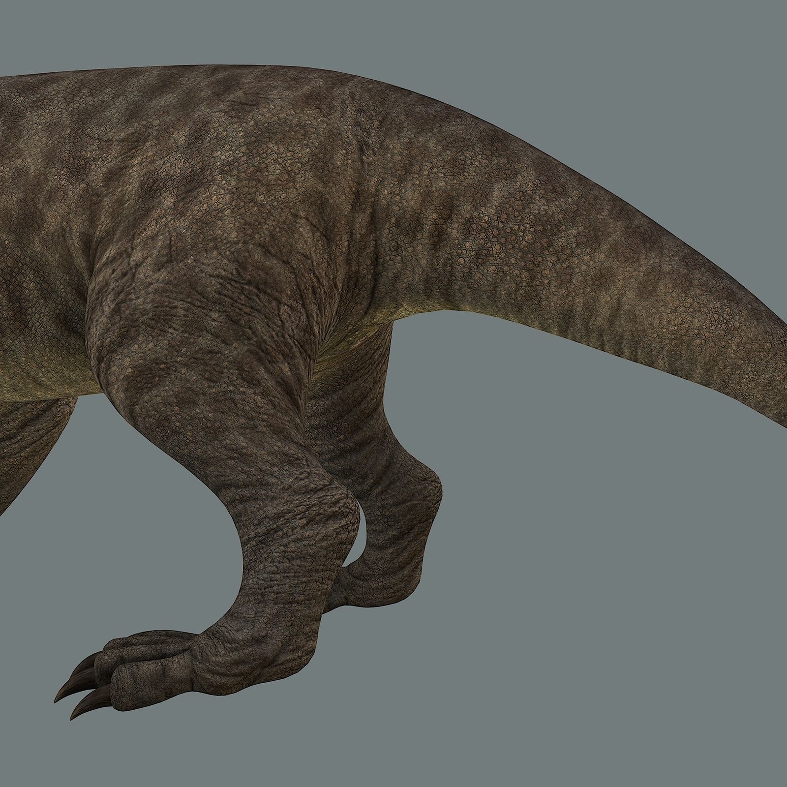 Inostrancevia Low-poly 3D model_7