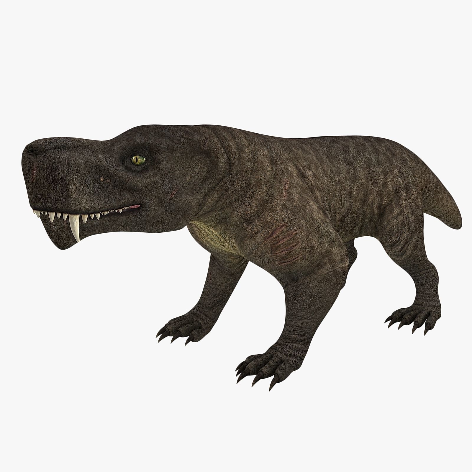 Inostrancevia Low-poly 3D model_0