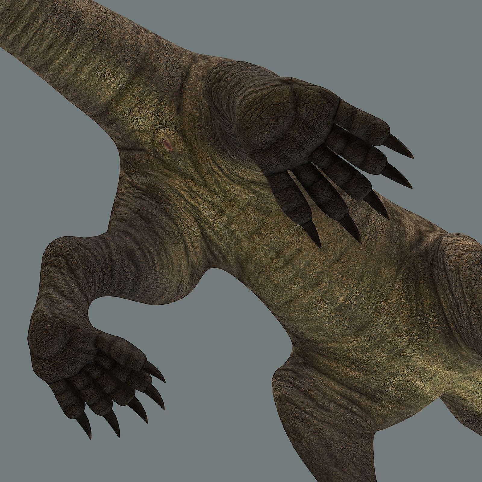 Inostrancevia Low-poly 3D model_10