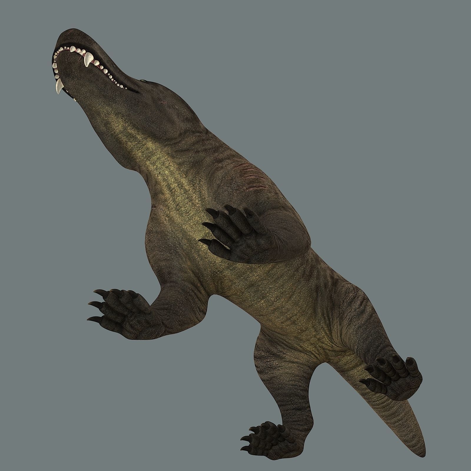 Inostrancevia Low-poly 3D model_24