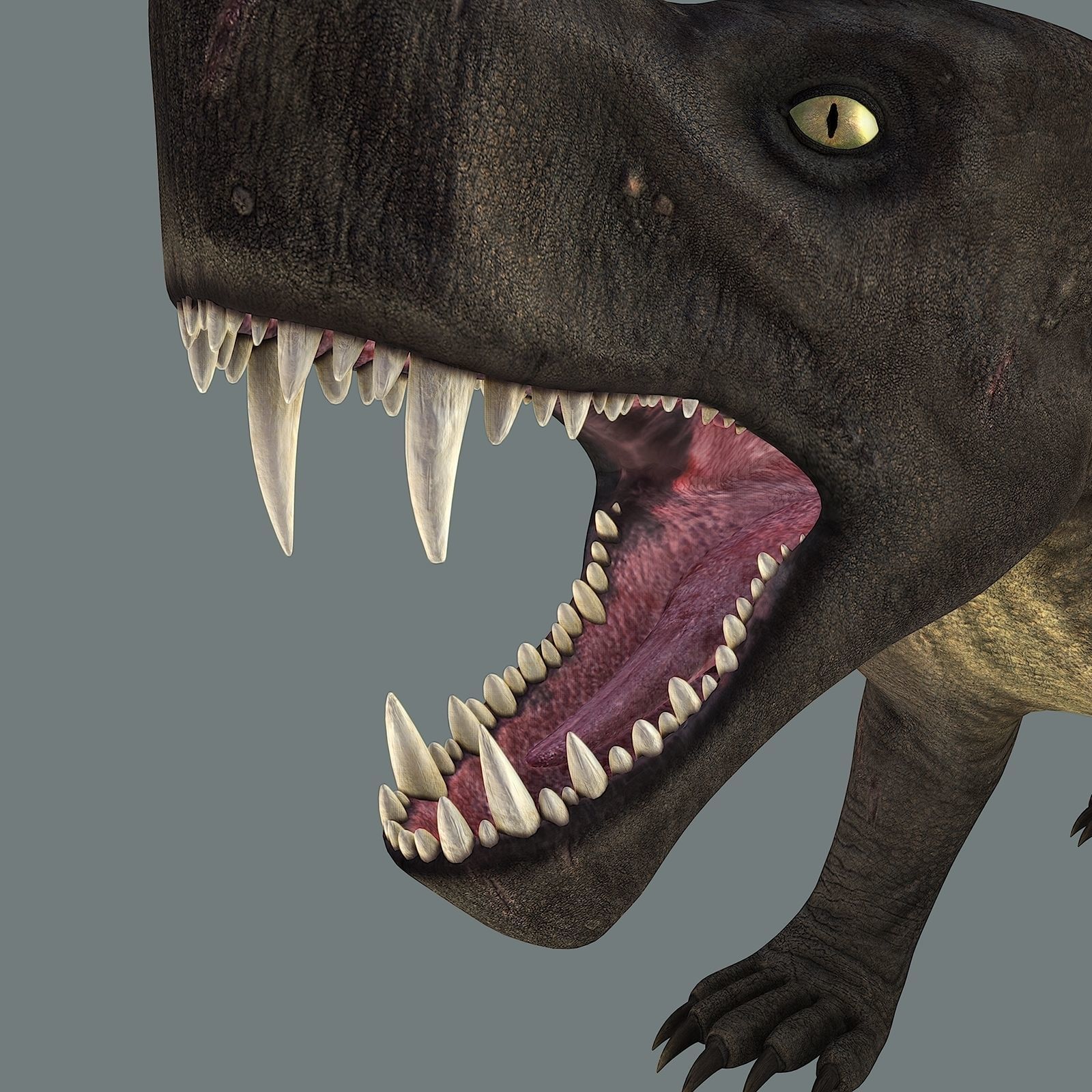 Inostrancevia Low-poly 3D model_32