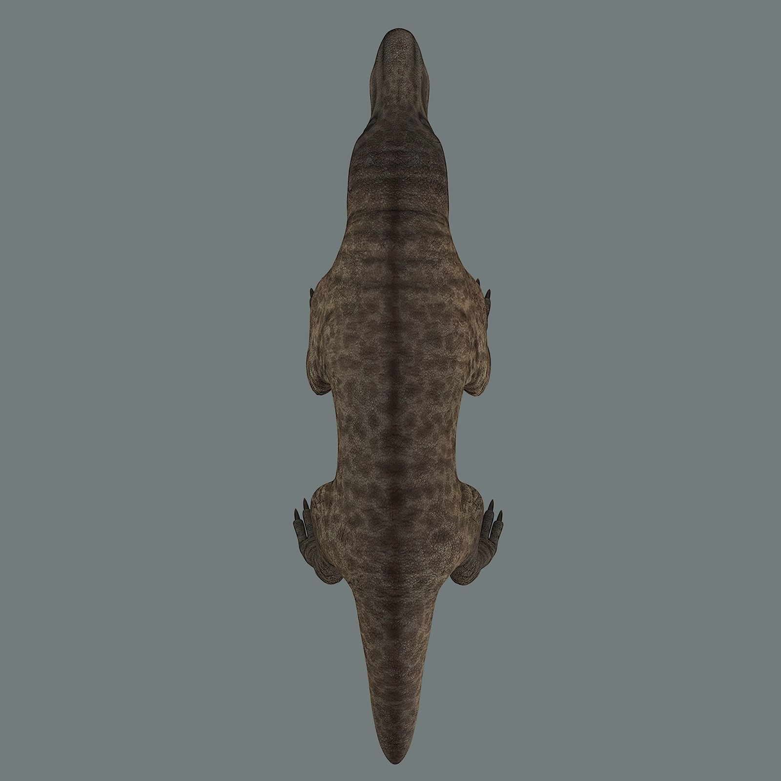 Inostrancevia Low-poly 3D model_16