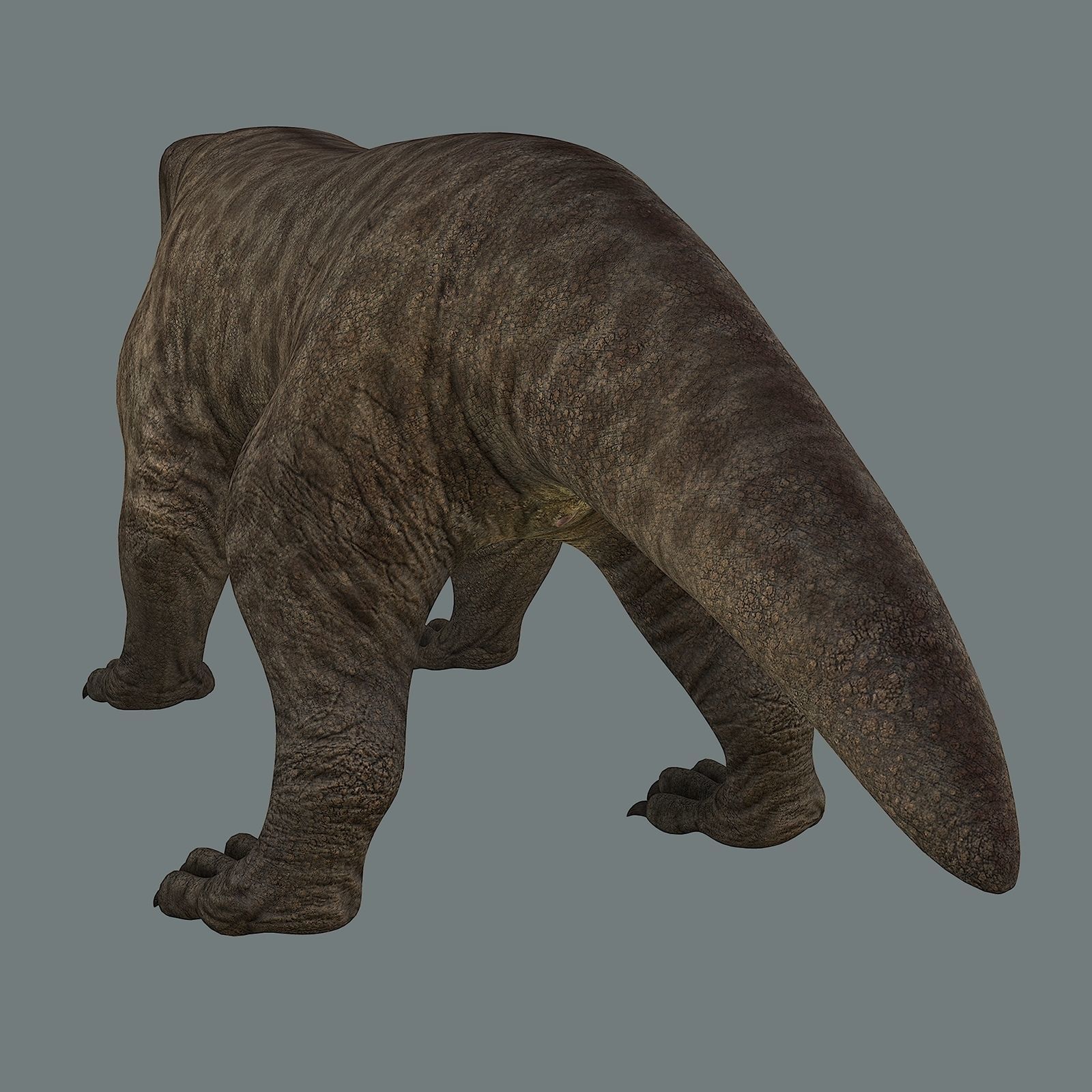 Inostrancevia Low-poly 3D model_21