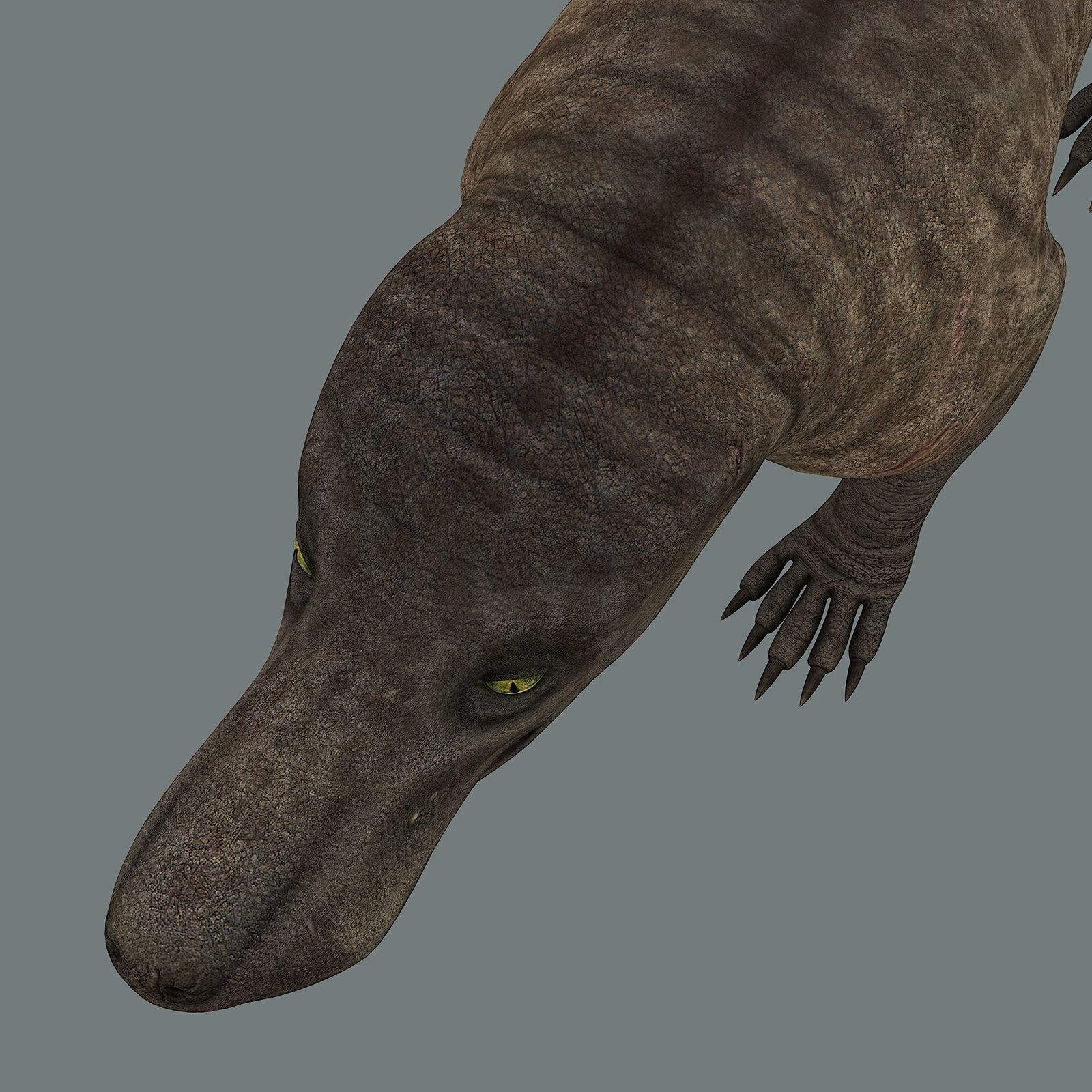 Inostrancevia Low-poly 3D model_19